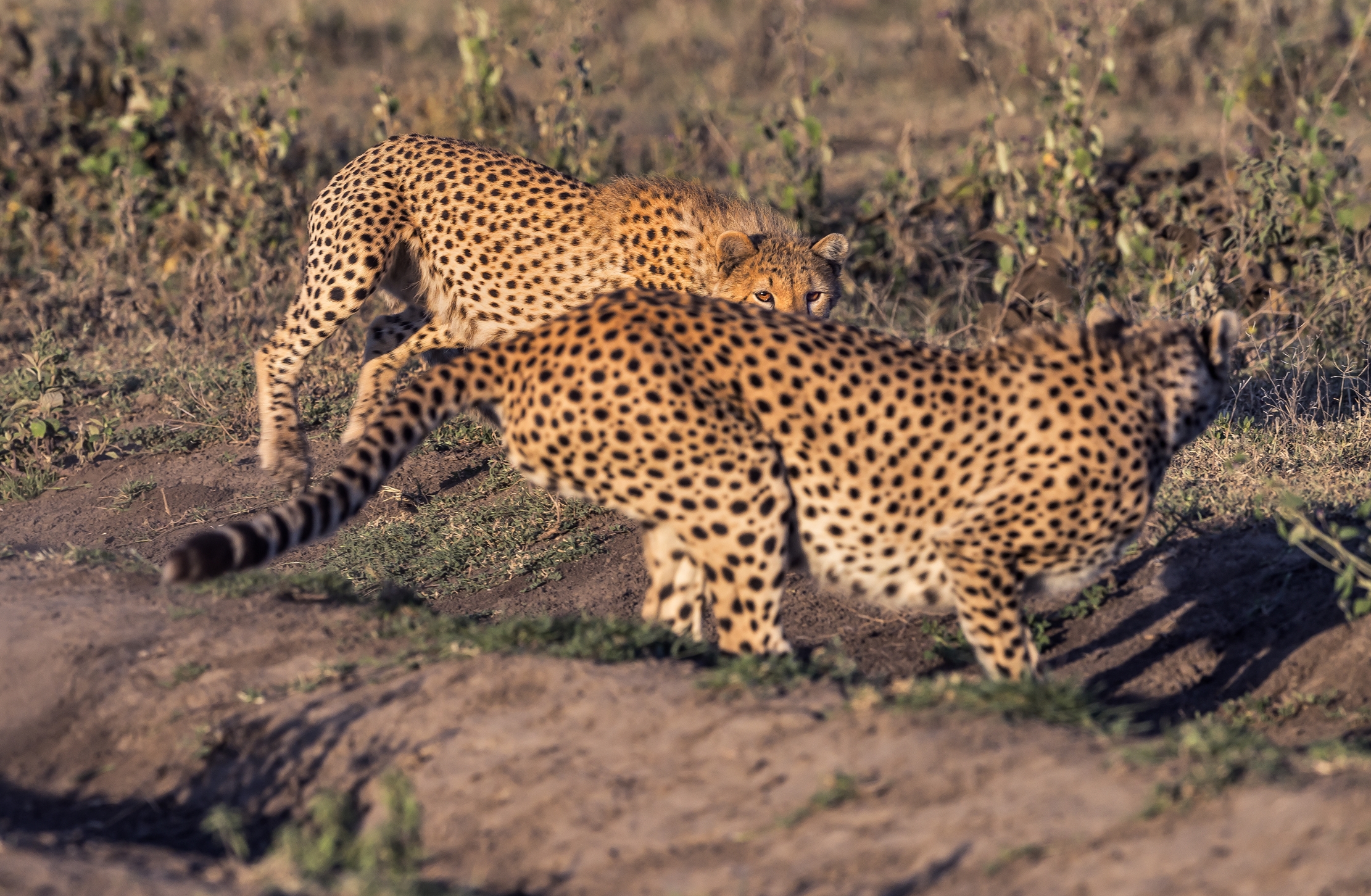 Tanzania 2016 - Giochi