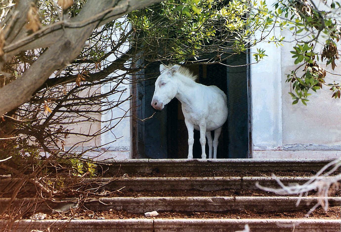 Panorami dal Mondo 2