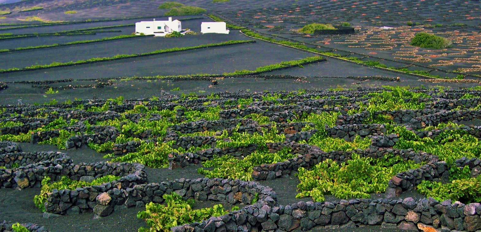 lanzarote