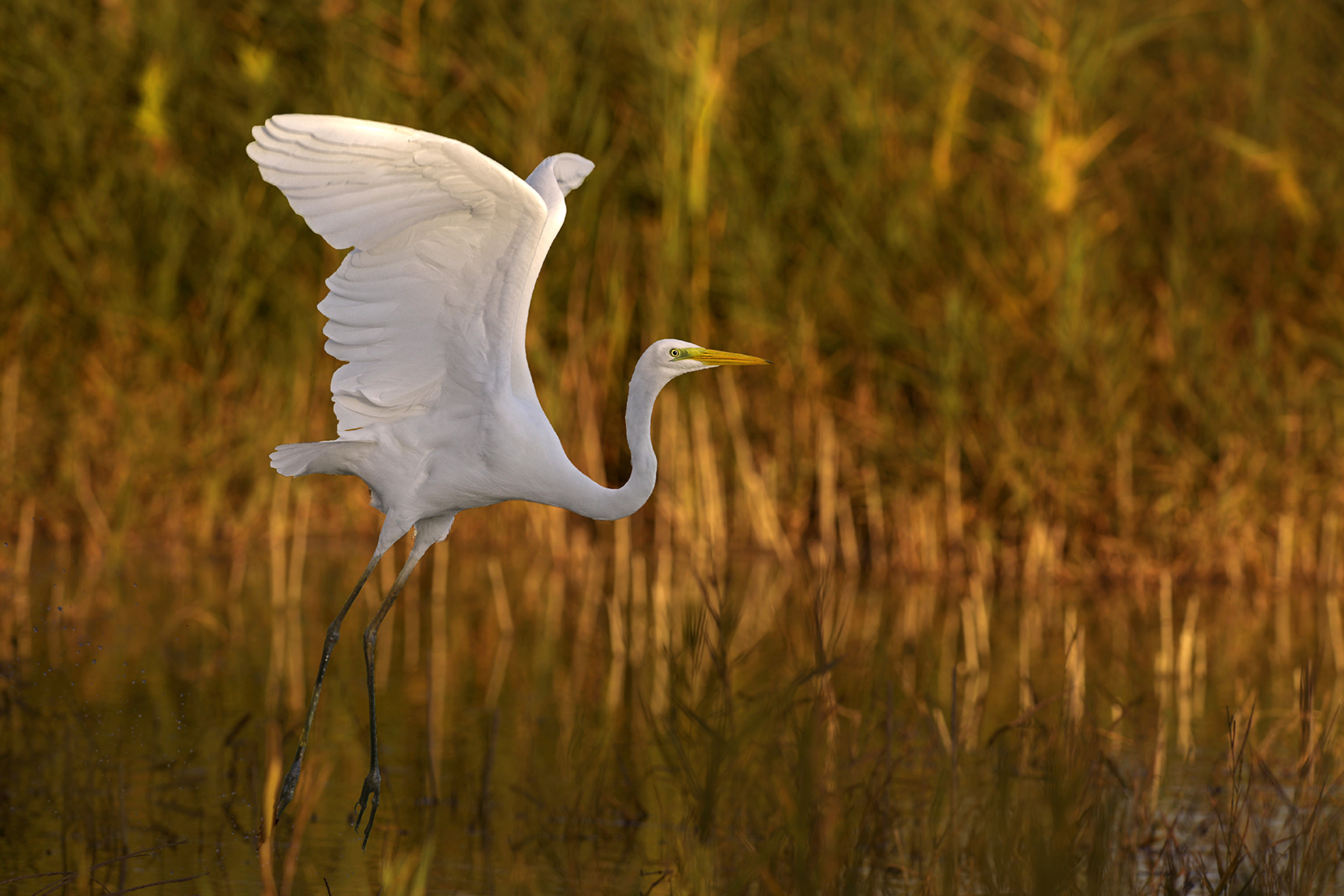 between light and shadow