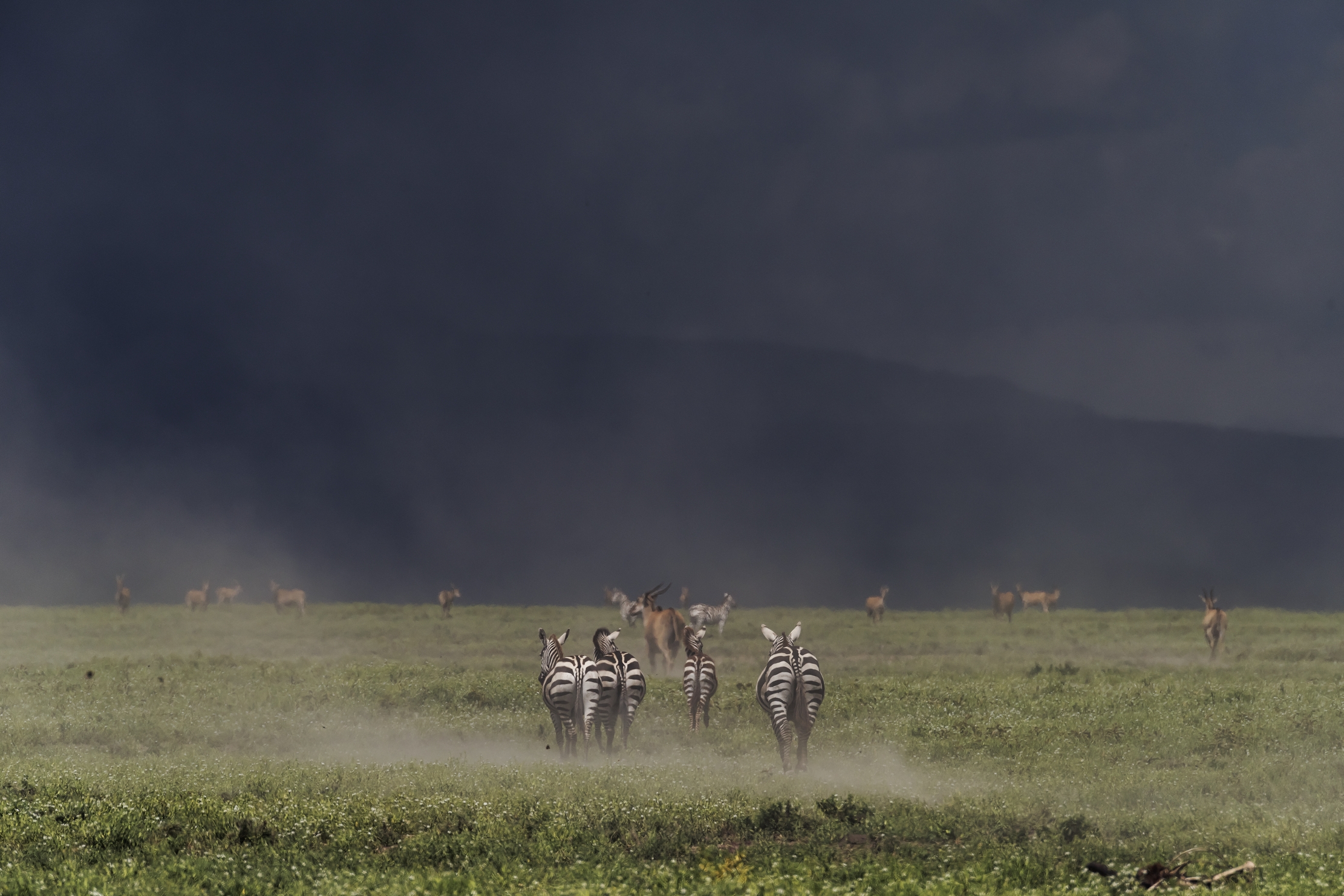 Tanzania 2016 - Aria di tempesta