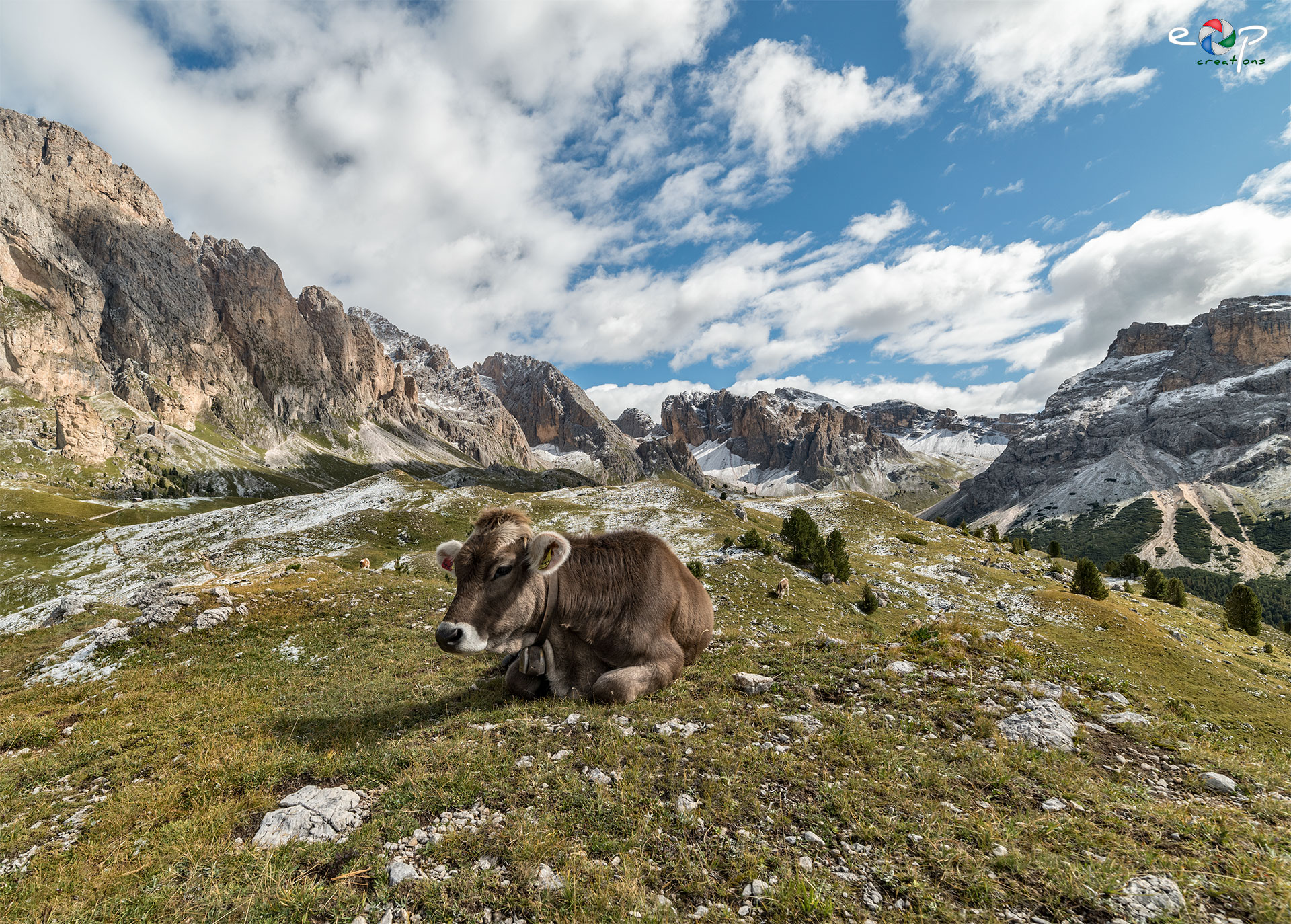 Queen of the mountains ...