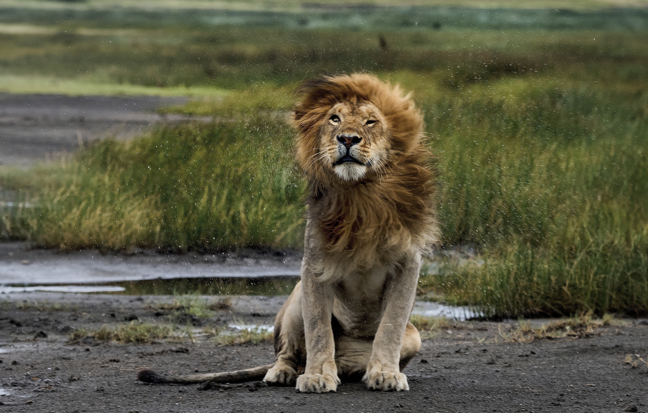 Tanzania 2016 - Con la pioggia