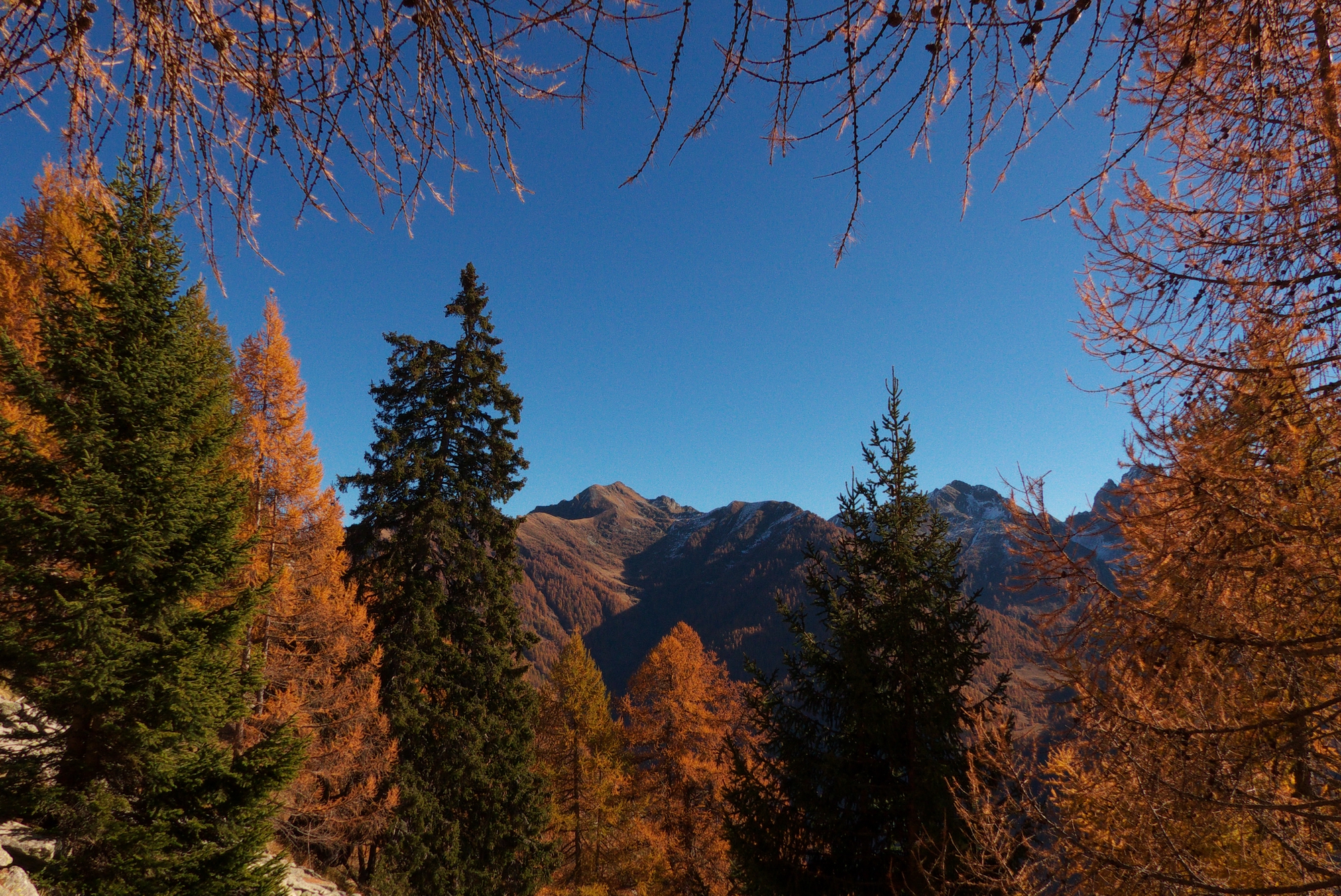 Alpe Uccelli - Montecrestese