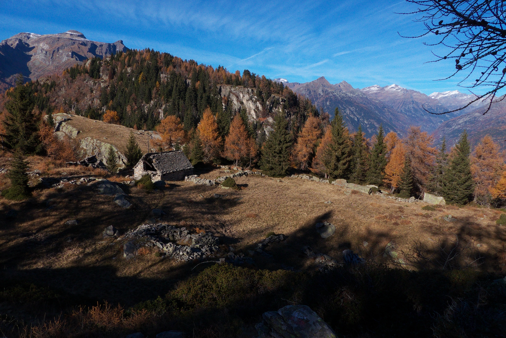 Alpe Colmine - Crevoladossola