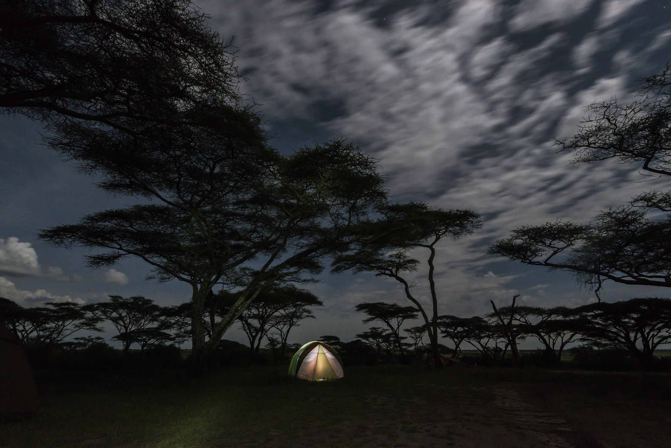 Tanzania 2016 - La mia tenda alla luce lunare, a Ndutu