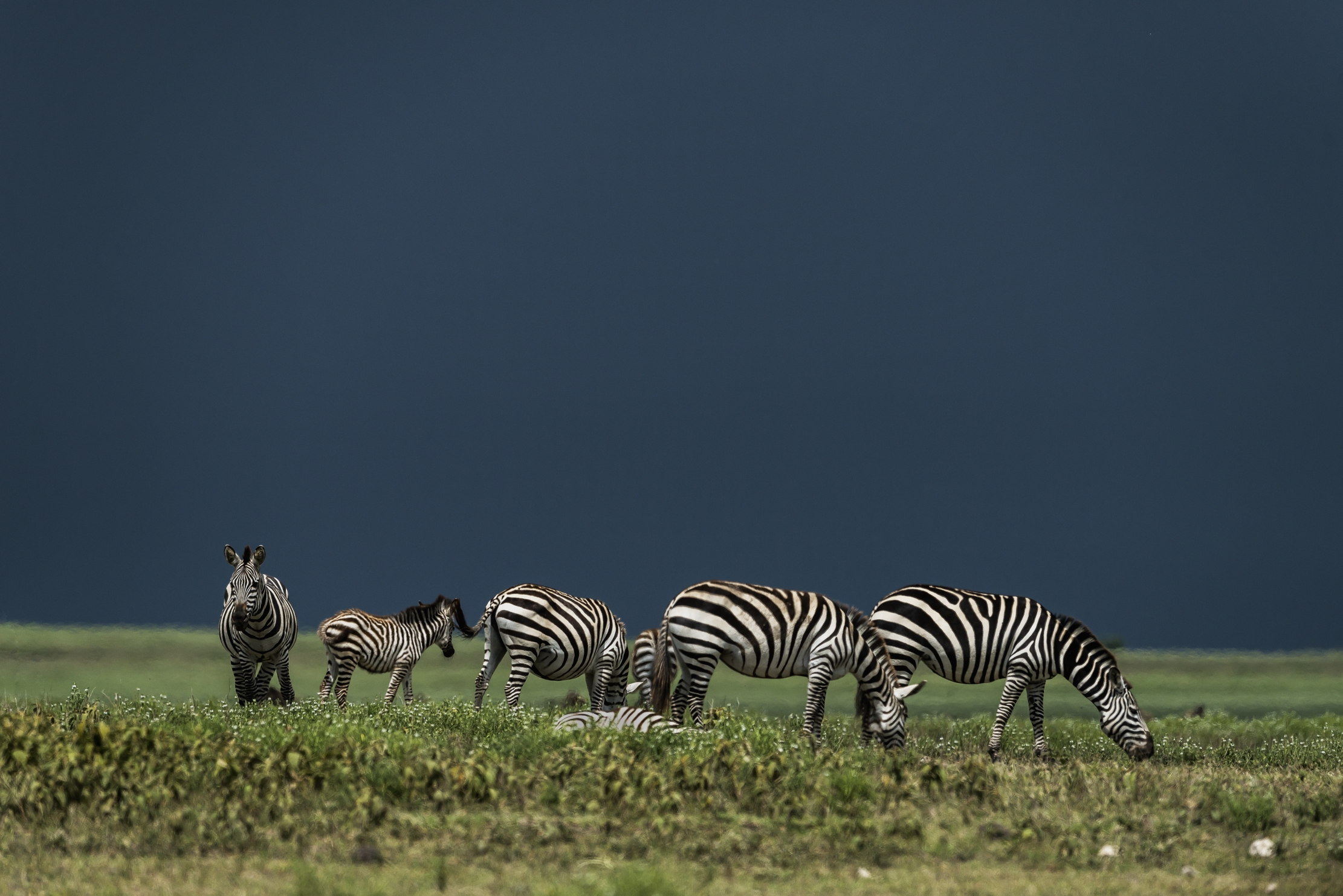 Tanzania 2016 - Cielo minaccioso