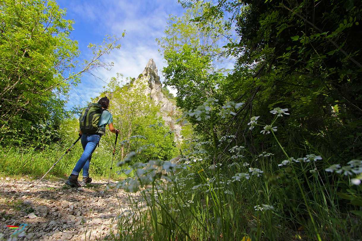 to the Mount Tausano