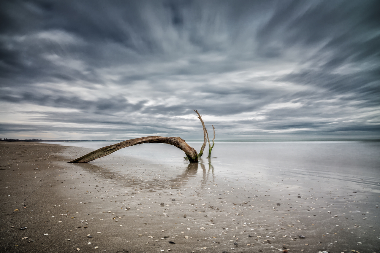 The Loch Ness Monster