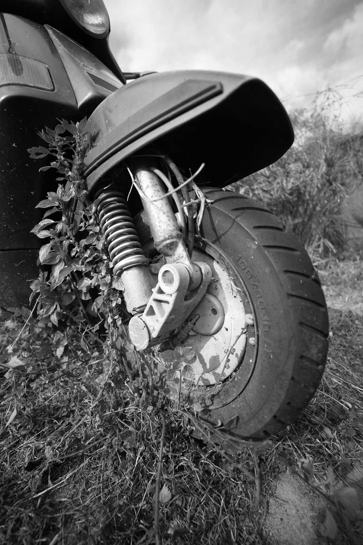 ..l'anteriore della Vespa