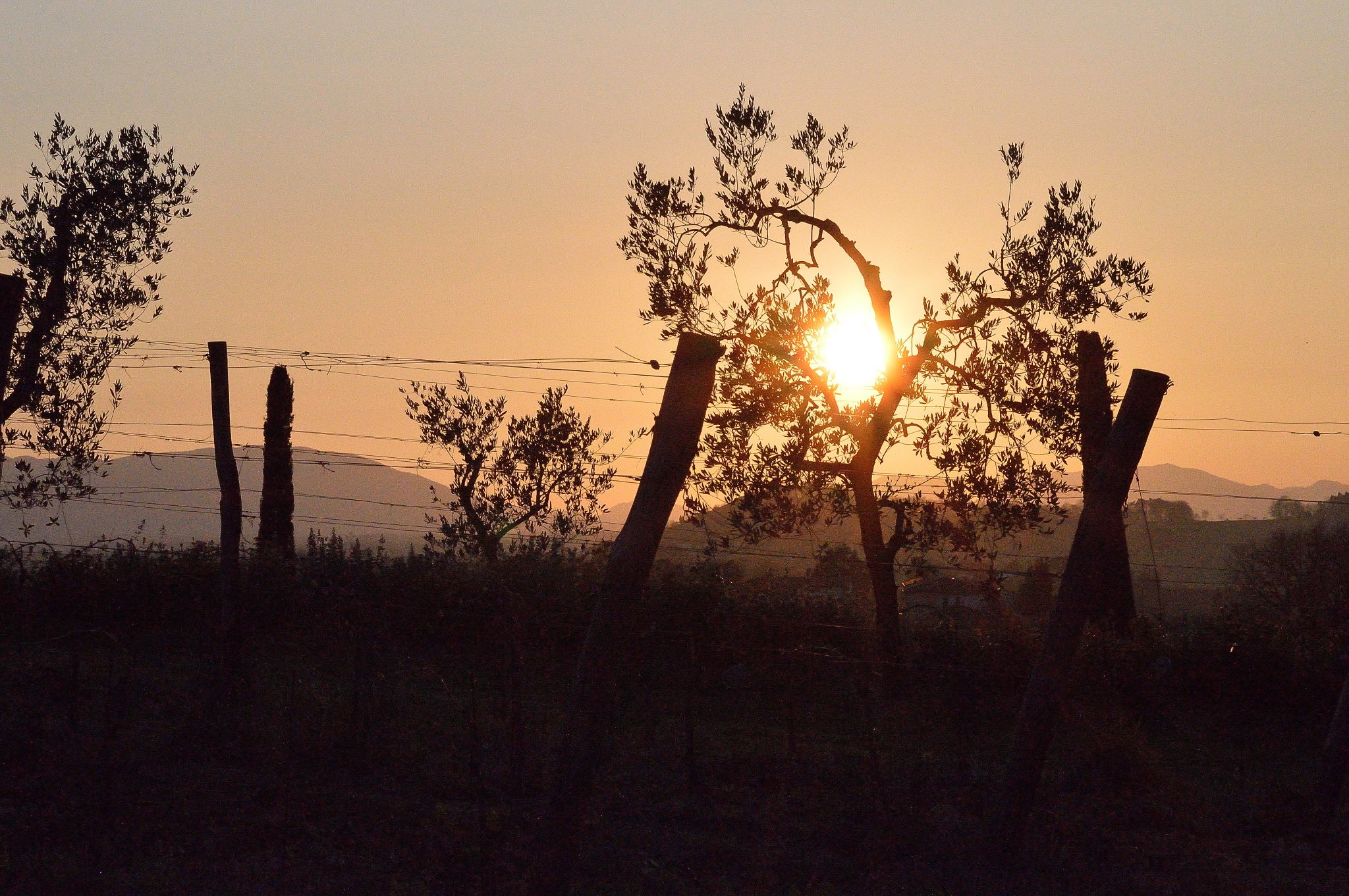 Tuscan sunset