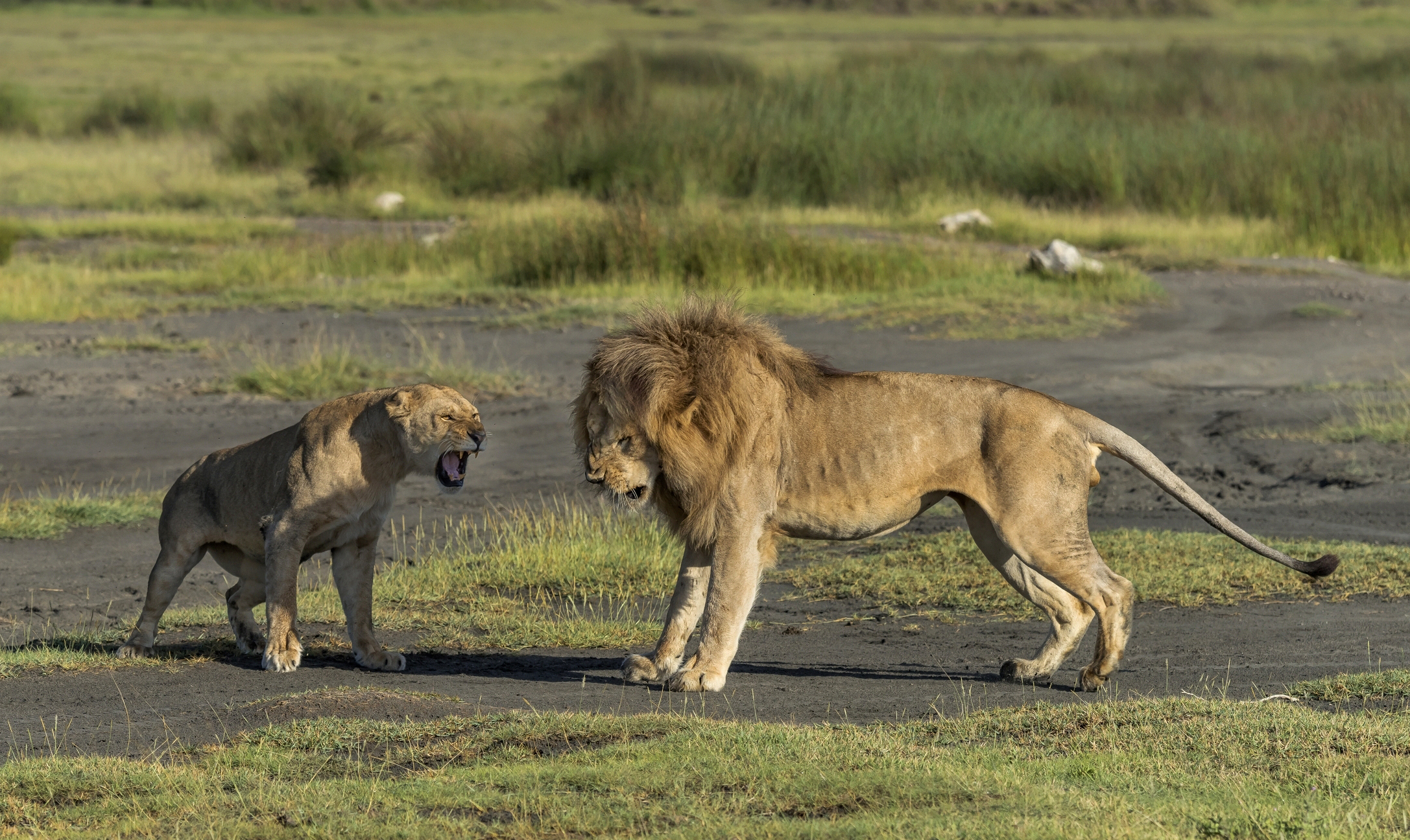 Tanzania 2016 - Scene di coppia: cazziata
