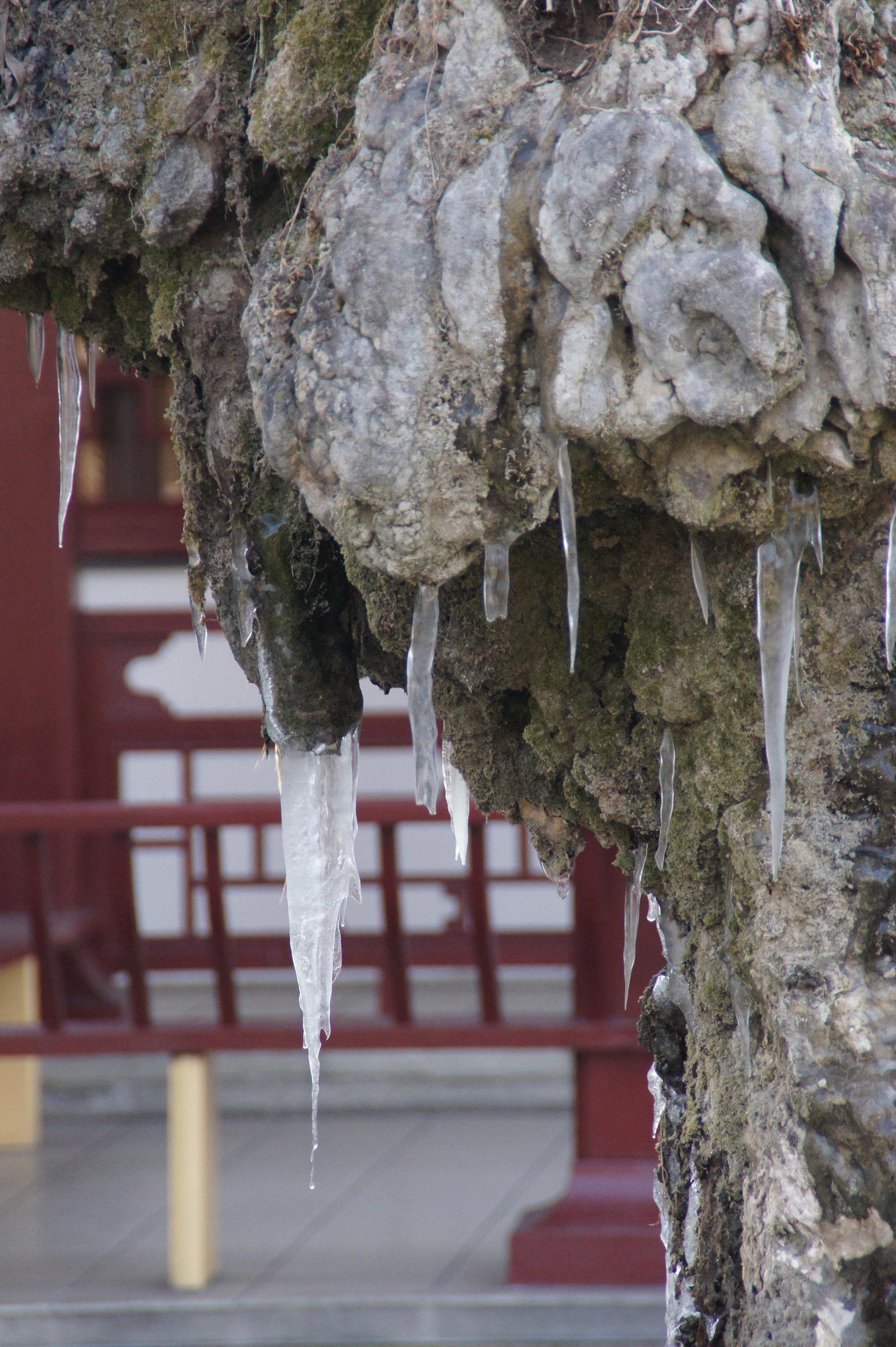 Vienna e il ghiaccio