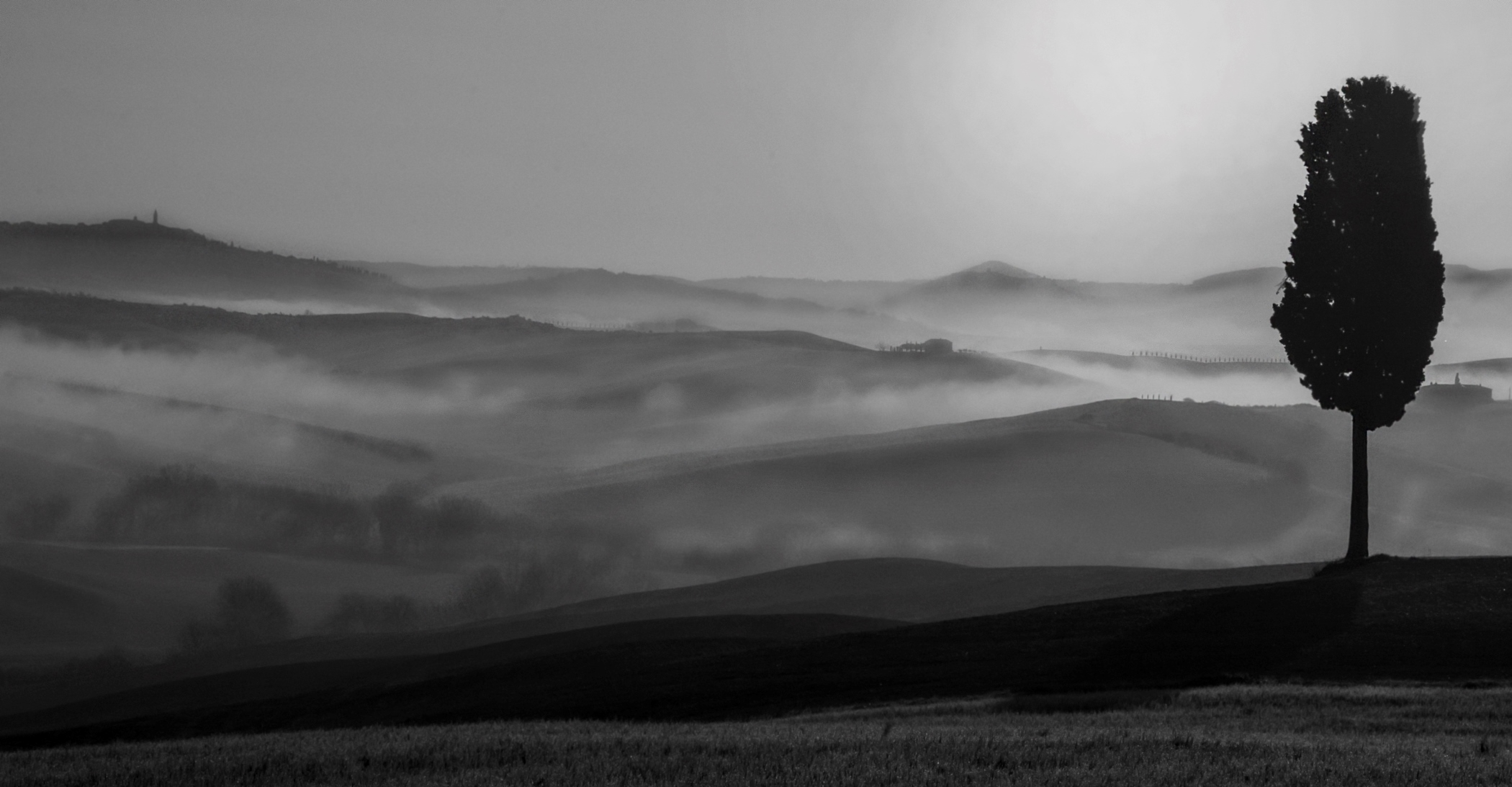 La nebbia agli irti colli