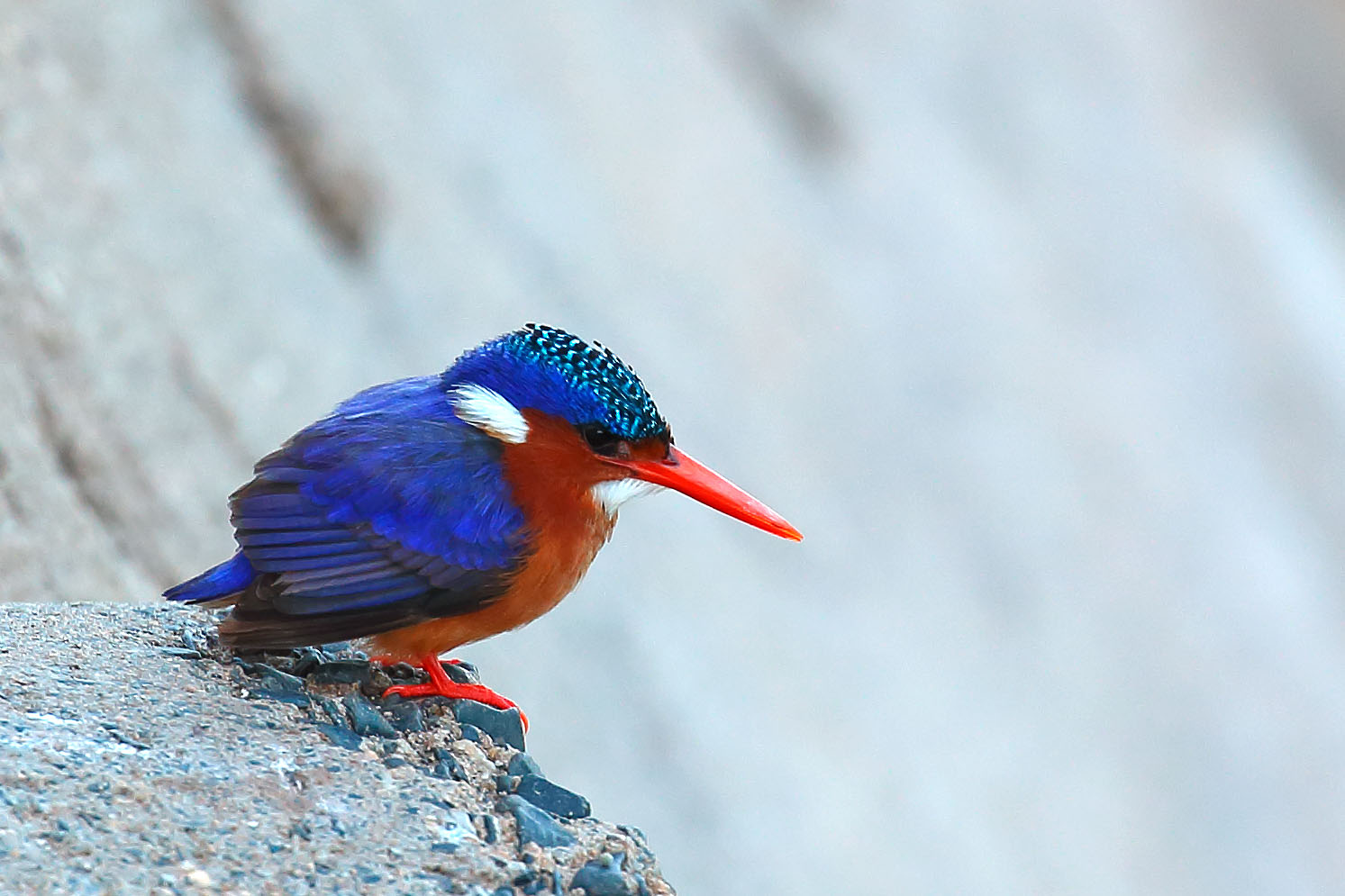 A nice martino malachite