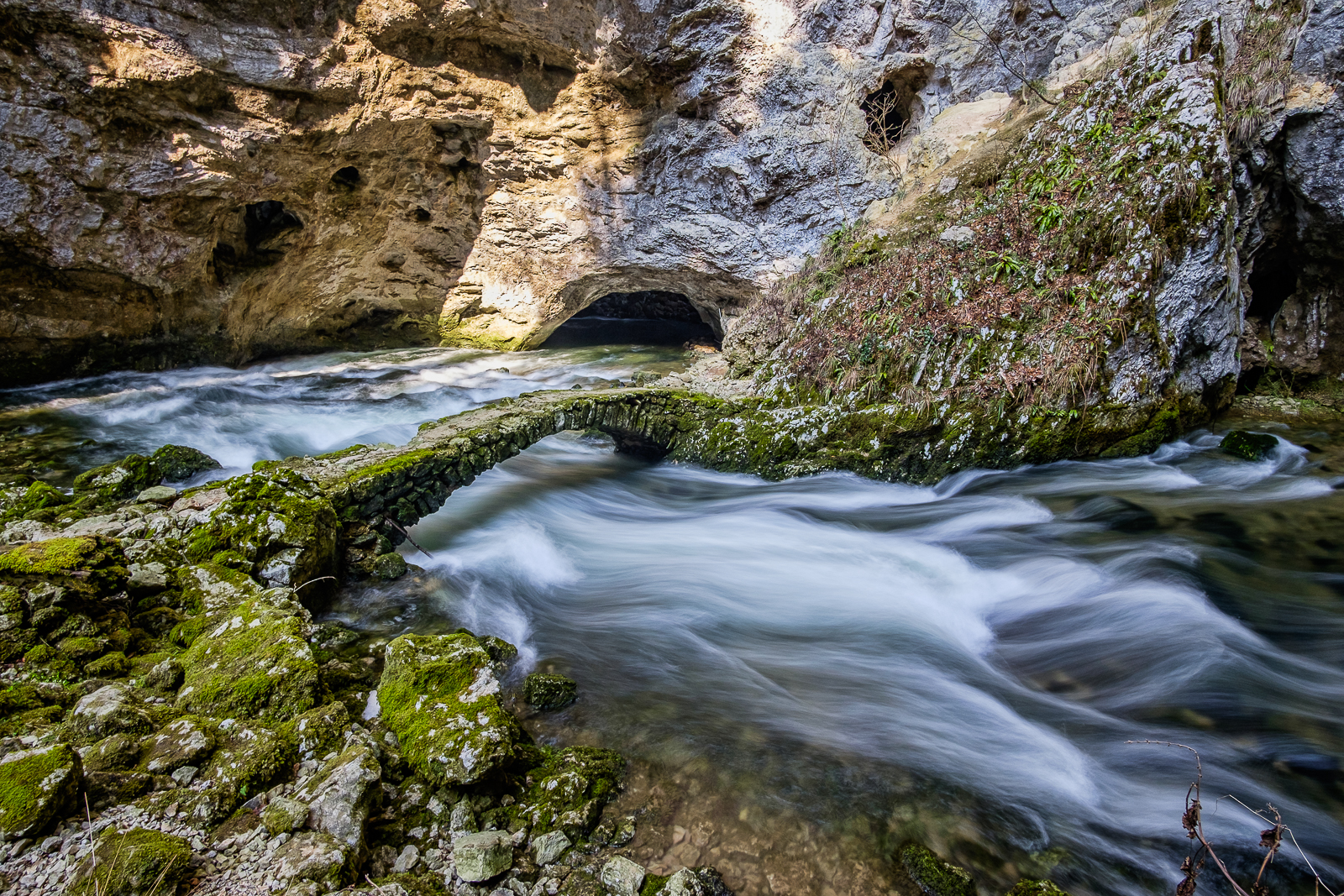Fiume Rak sotto piccolo naturale ponte Rakov Skocjan