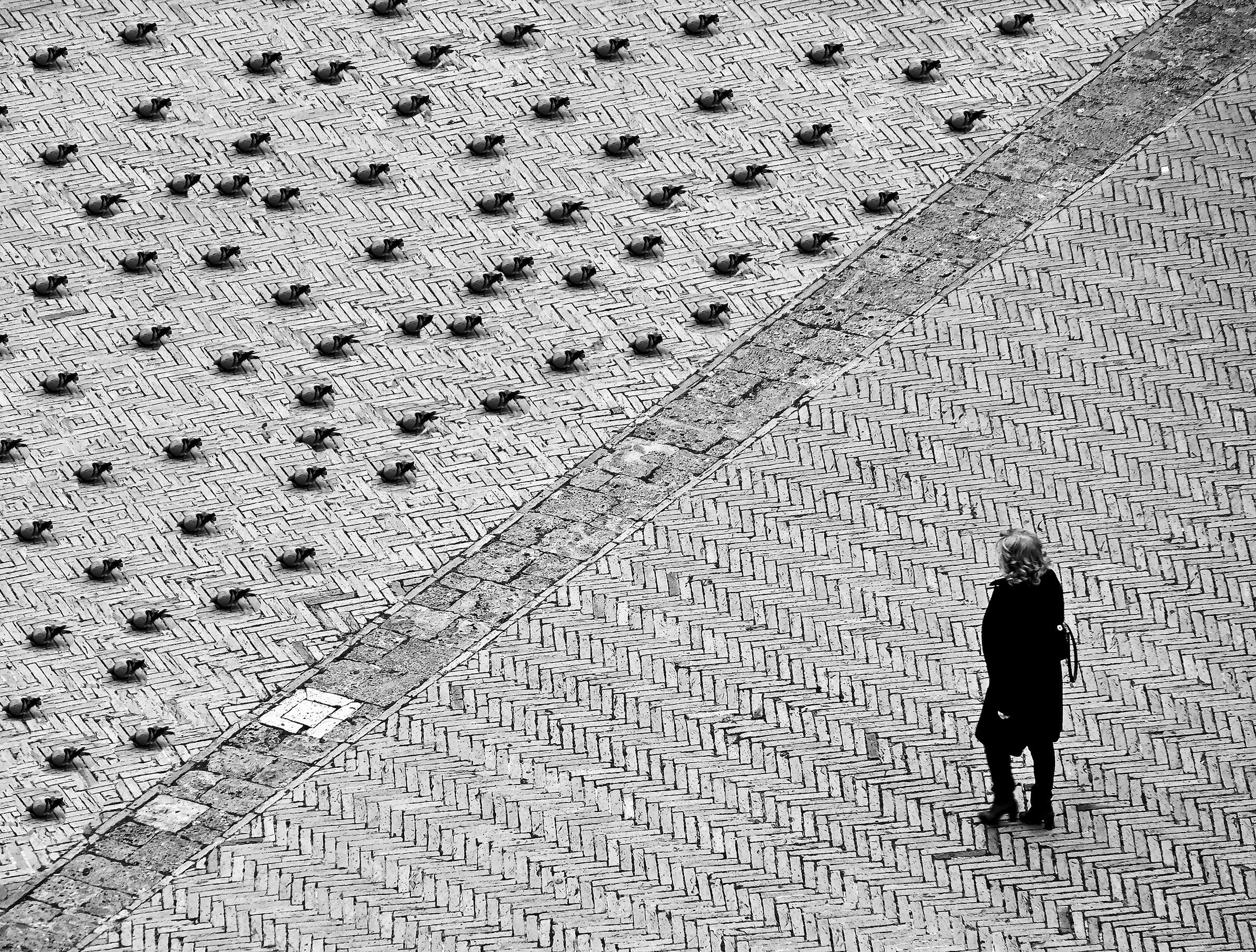 Il rapporto piccione / uomo in città: 72 / 1