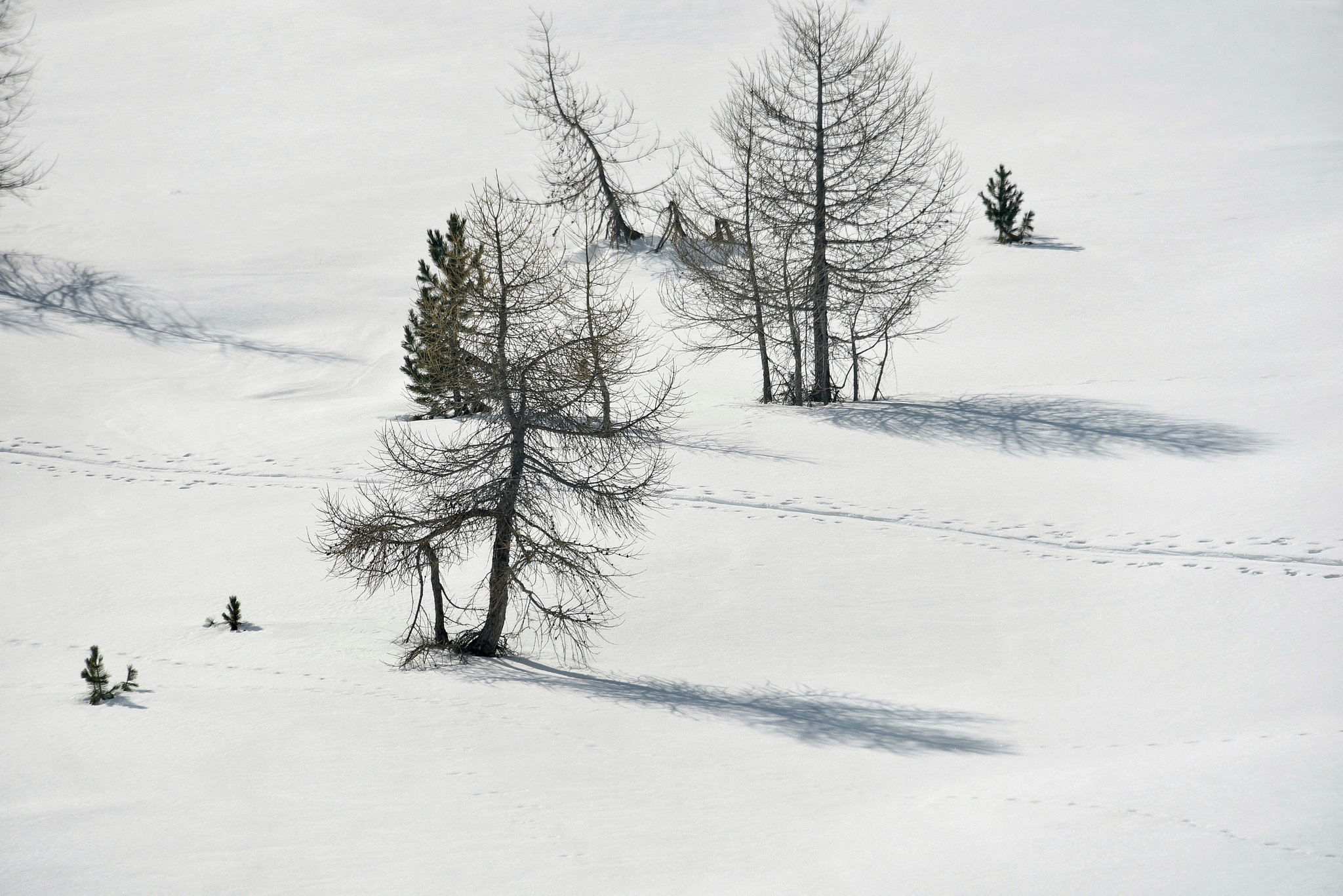 from the Bernina Express Glass - Landscape