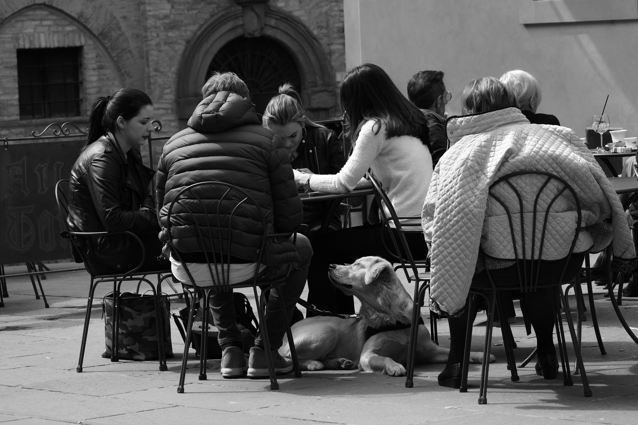 The dog enjoys the sun
