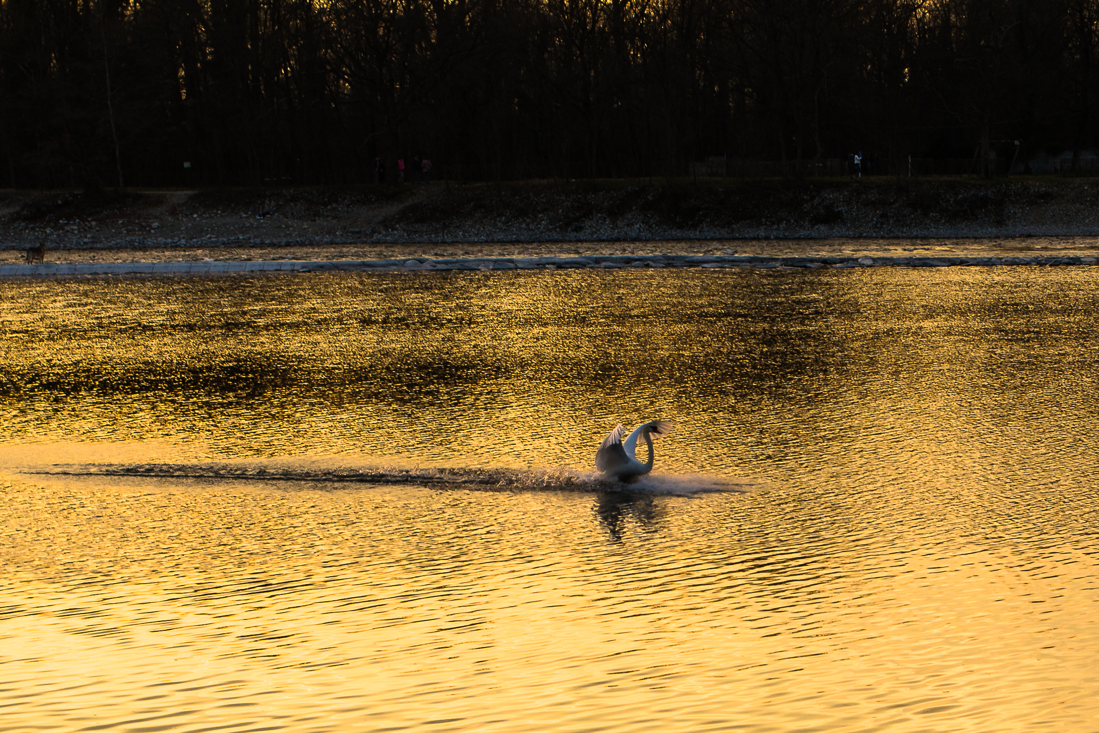 Atterraggio al tramonto