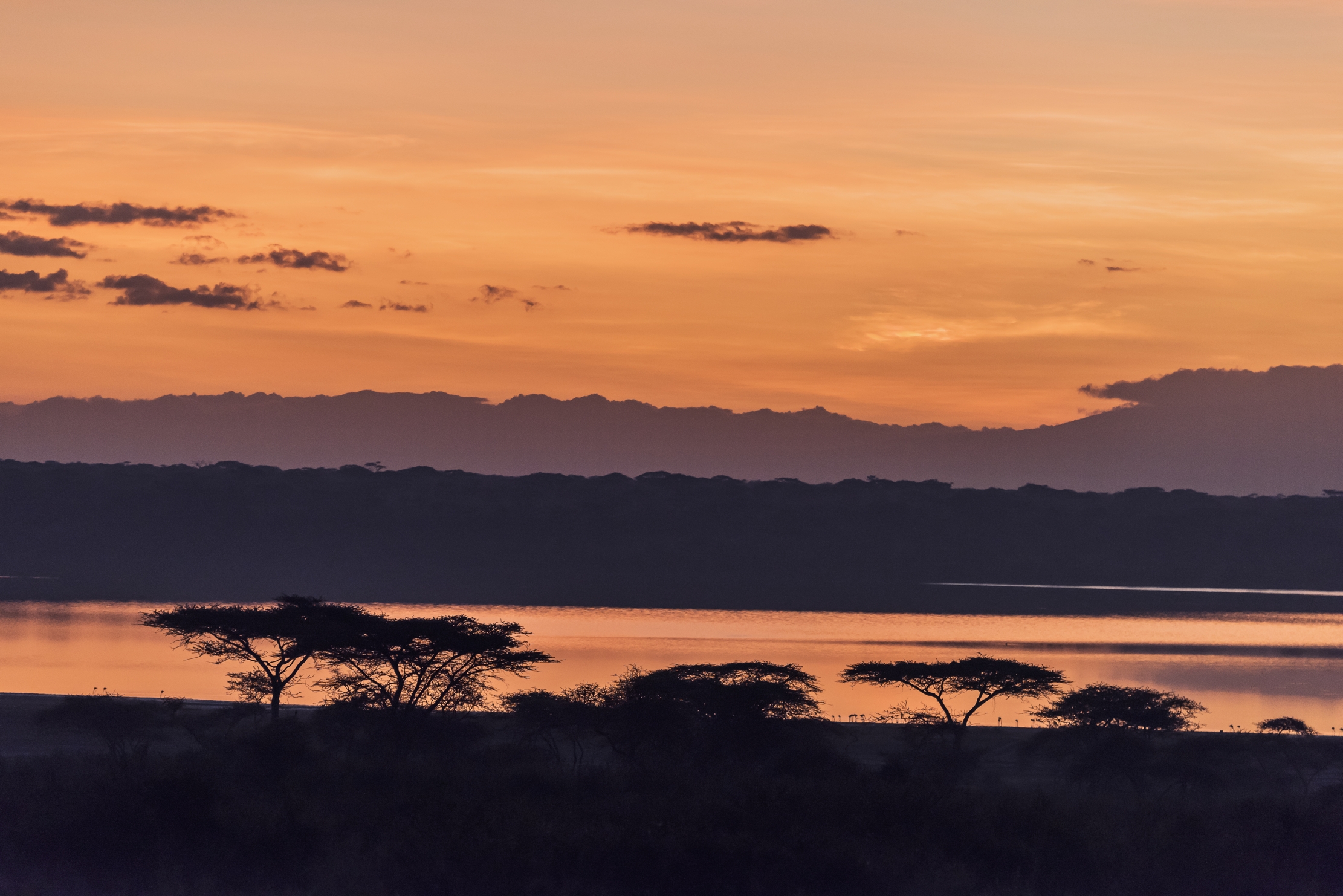 Tanzania 2016 - Alba su Lake Ndutu