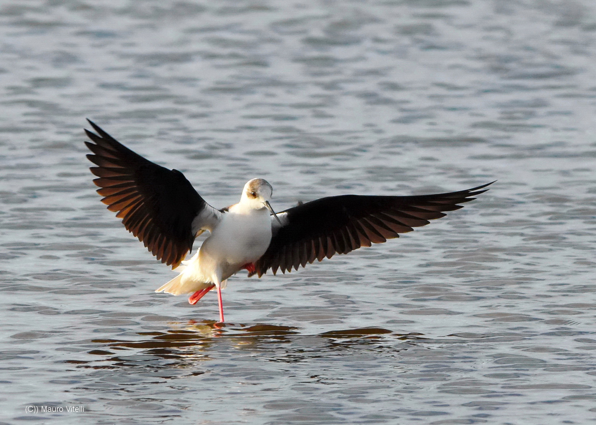 Landing with one leg