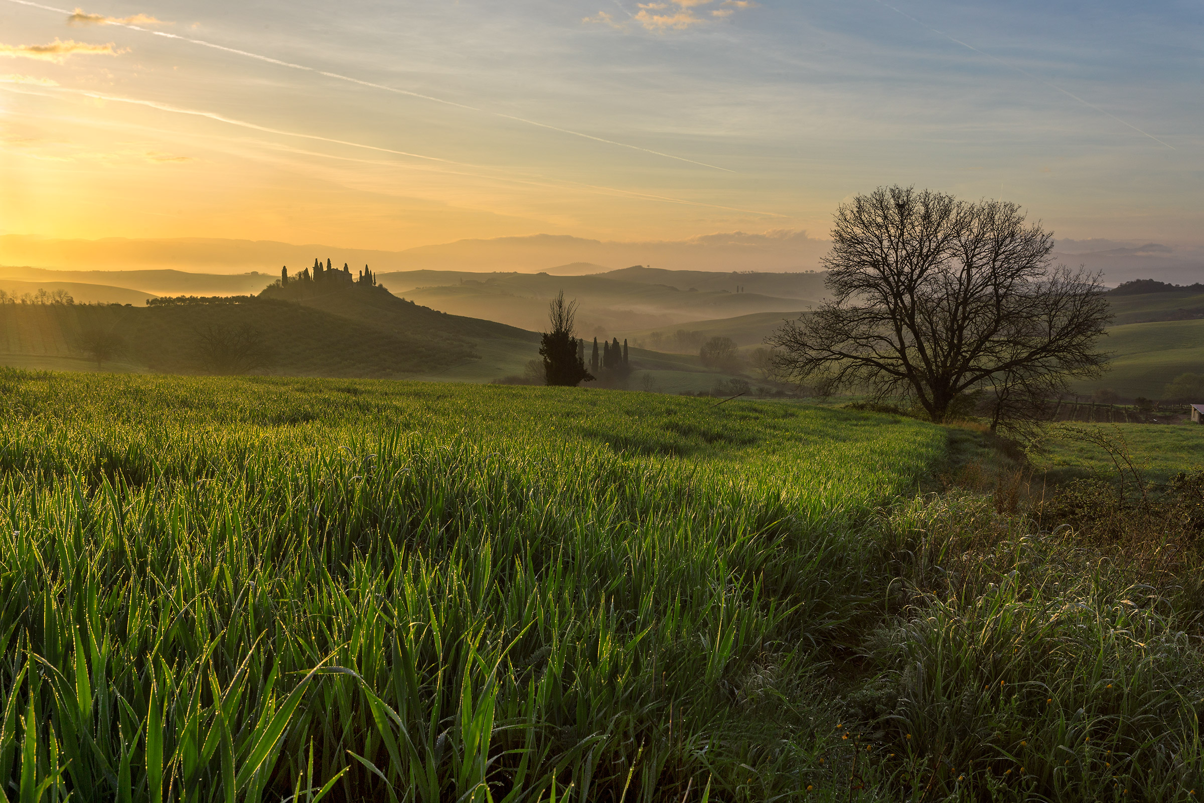 Alba in the Val D'Orcia