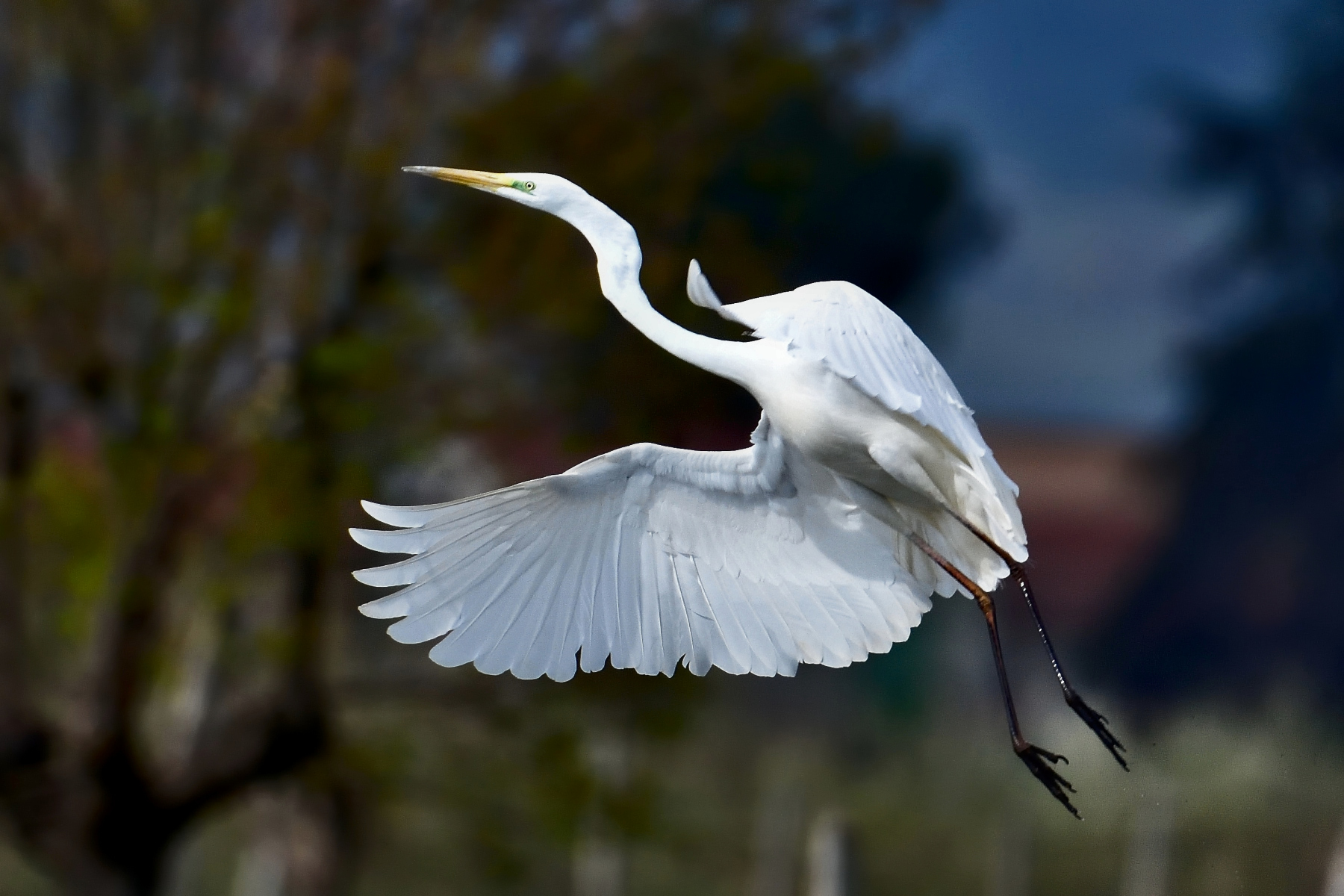 DEcollo quasi in verticale