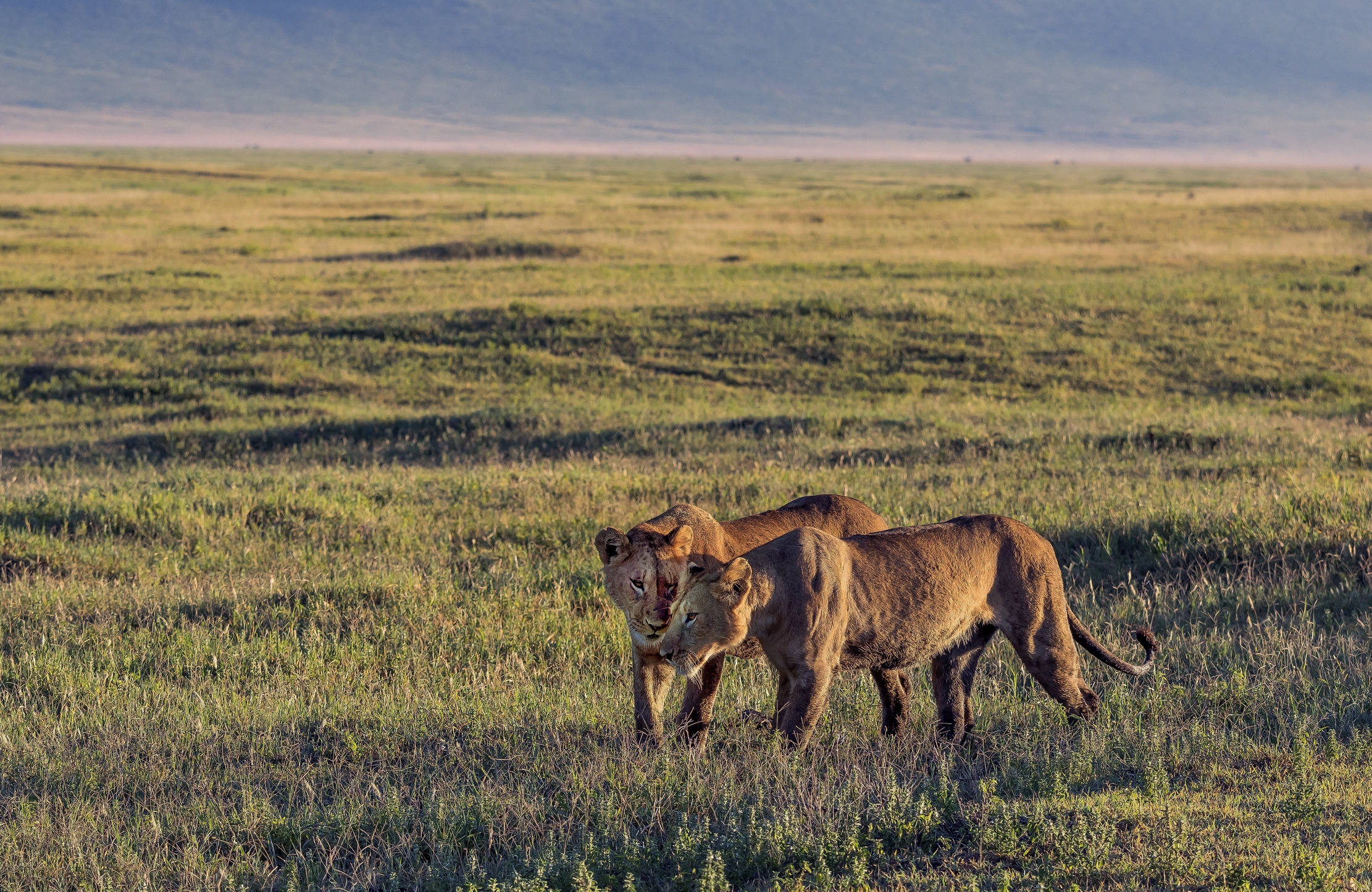 Tanzania 2016 - Affetti