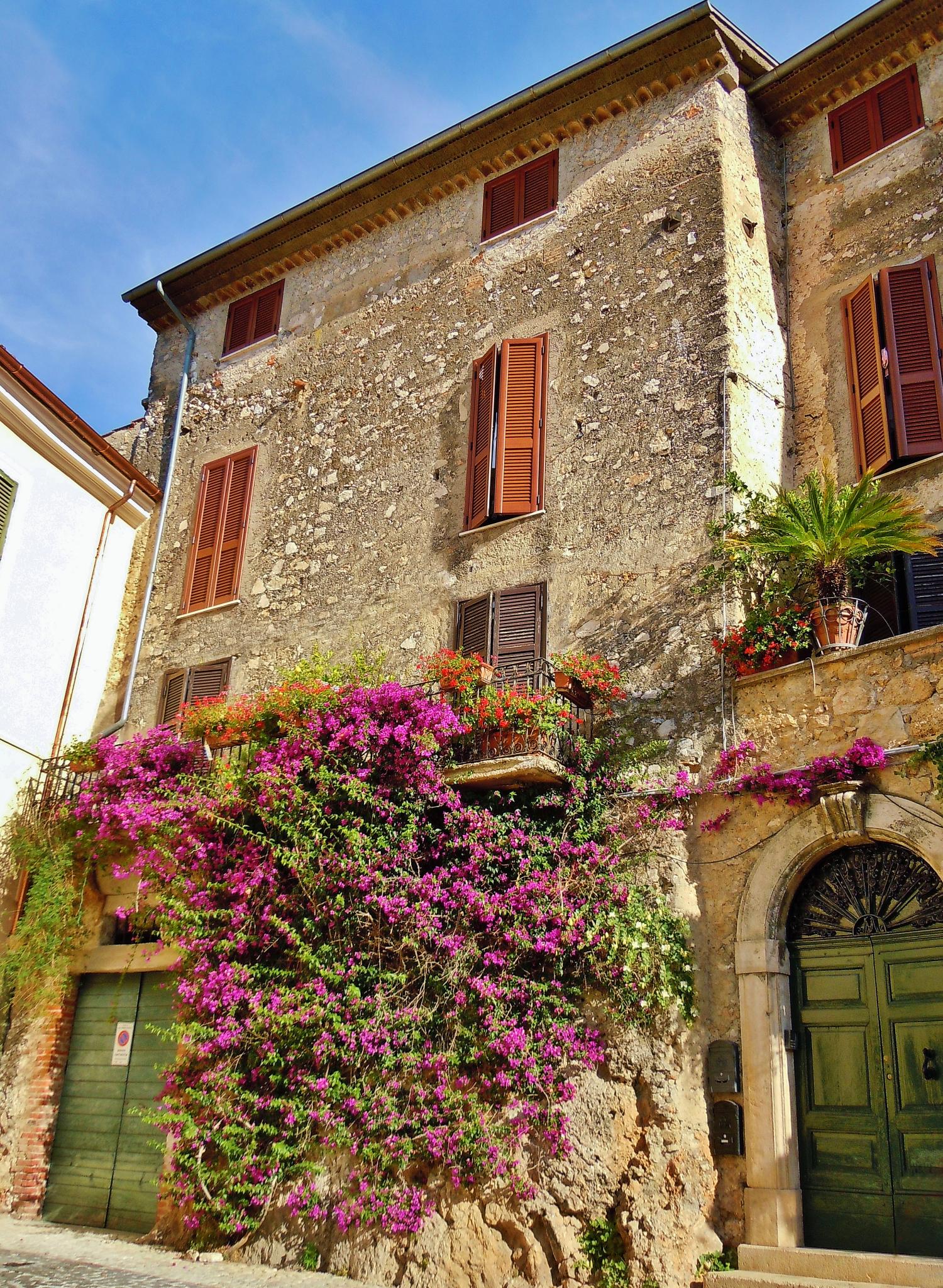 The house with flowers