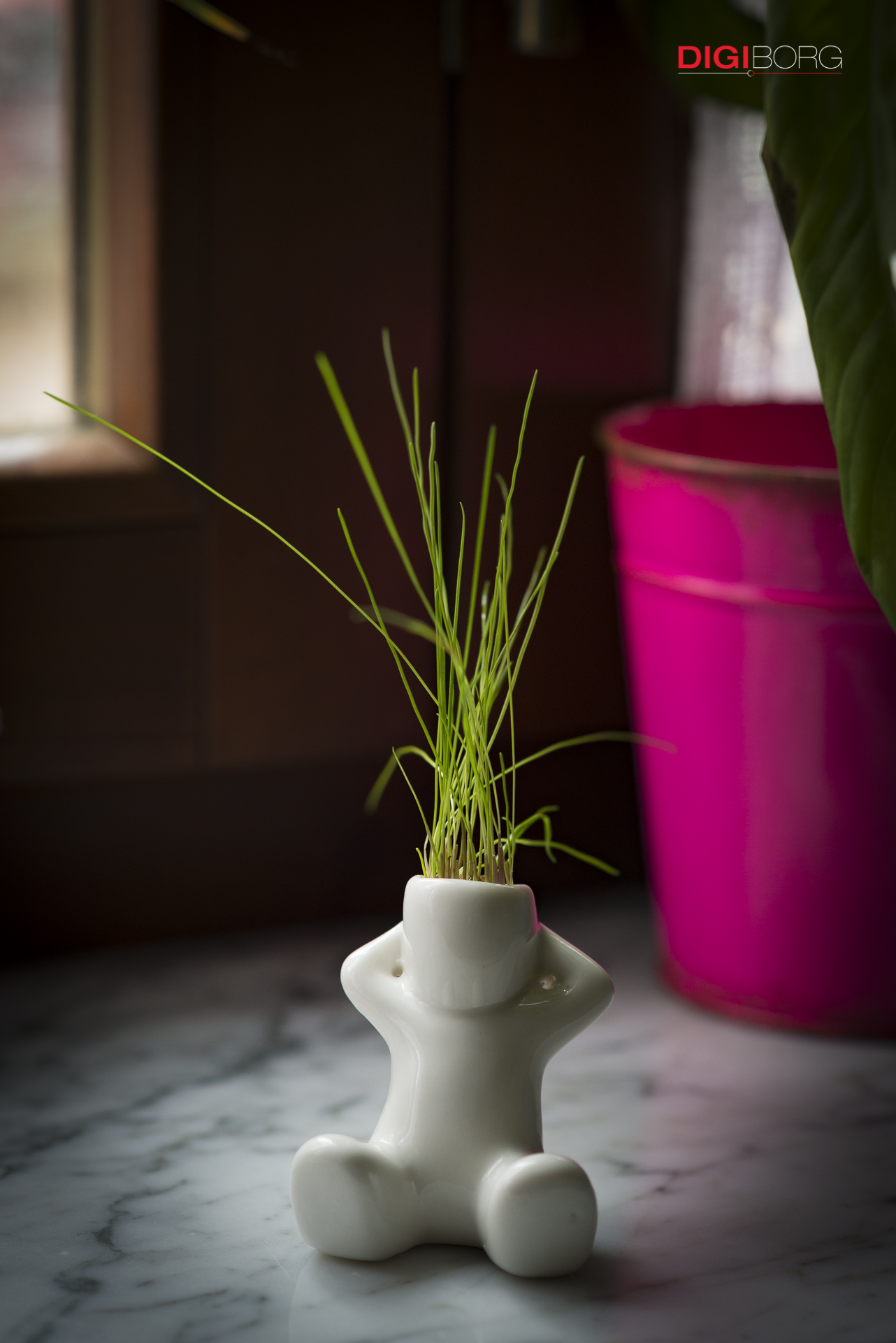 annaffiando i pensieri nascono le idee...