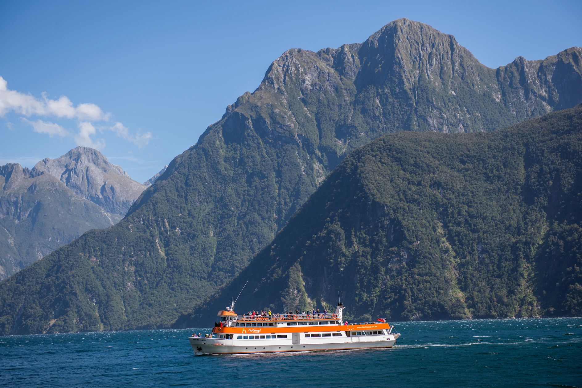NZ Fjord
