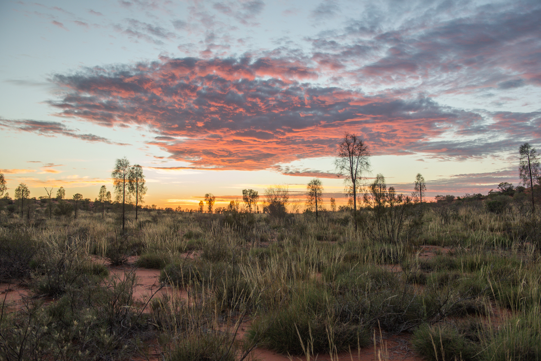 Au Sunrise at Uluru
