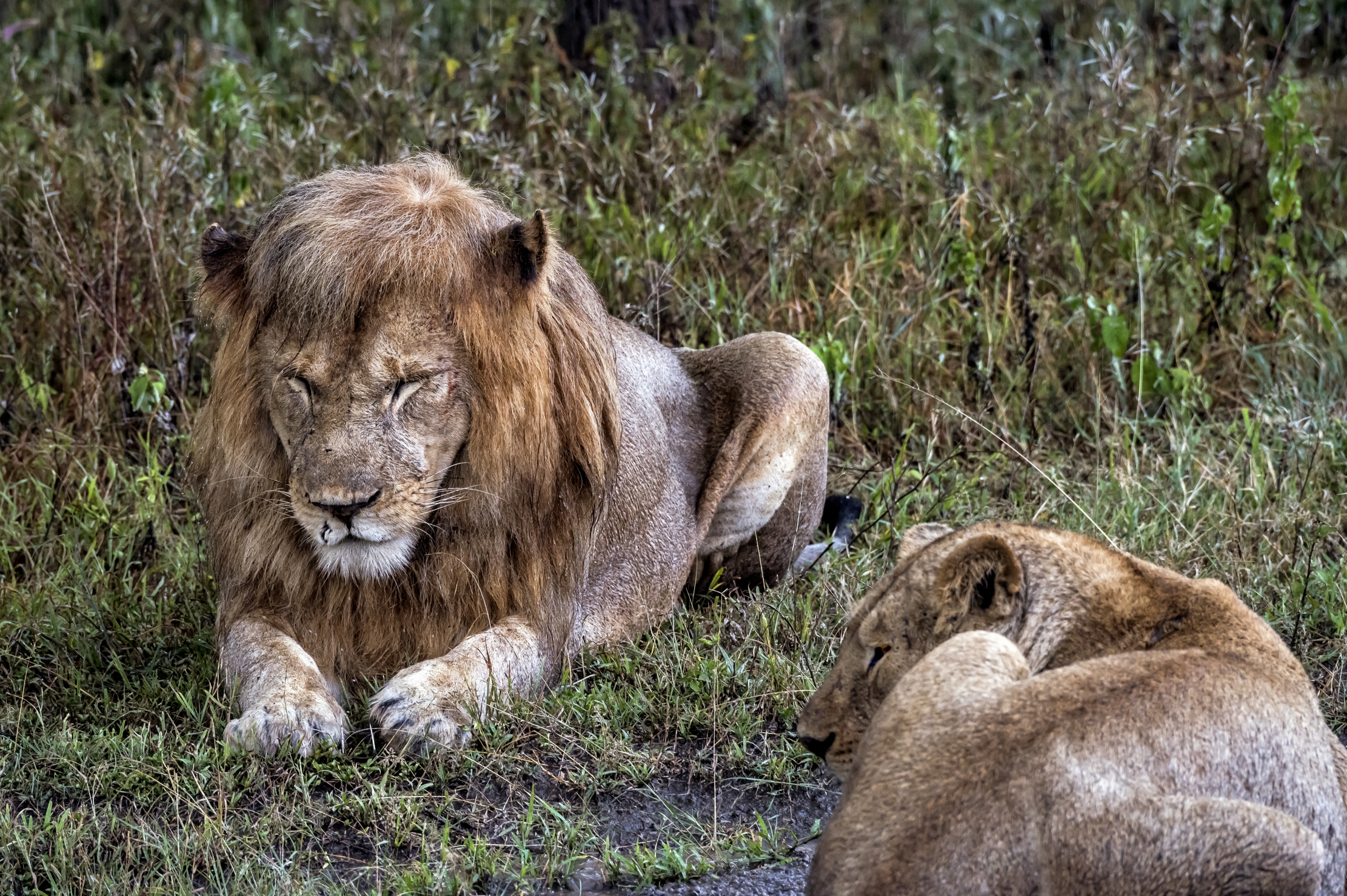 Tanzania 2016 - Sotto un acquazzone