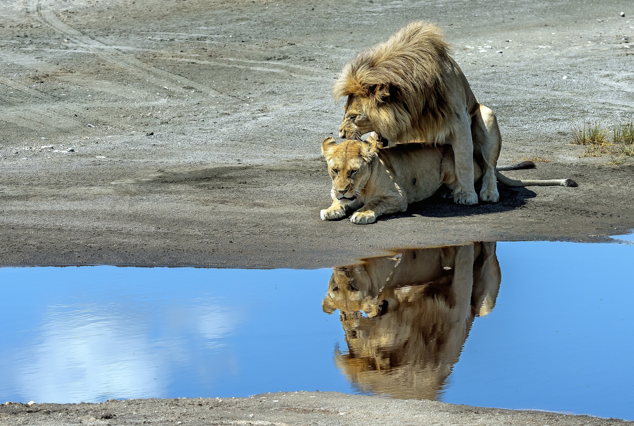 Tanzania 2016 - Love