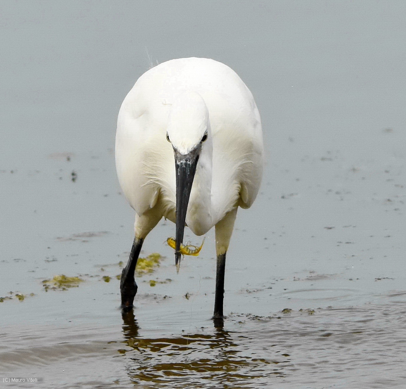 This time I got you ...