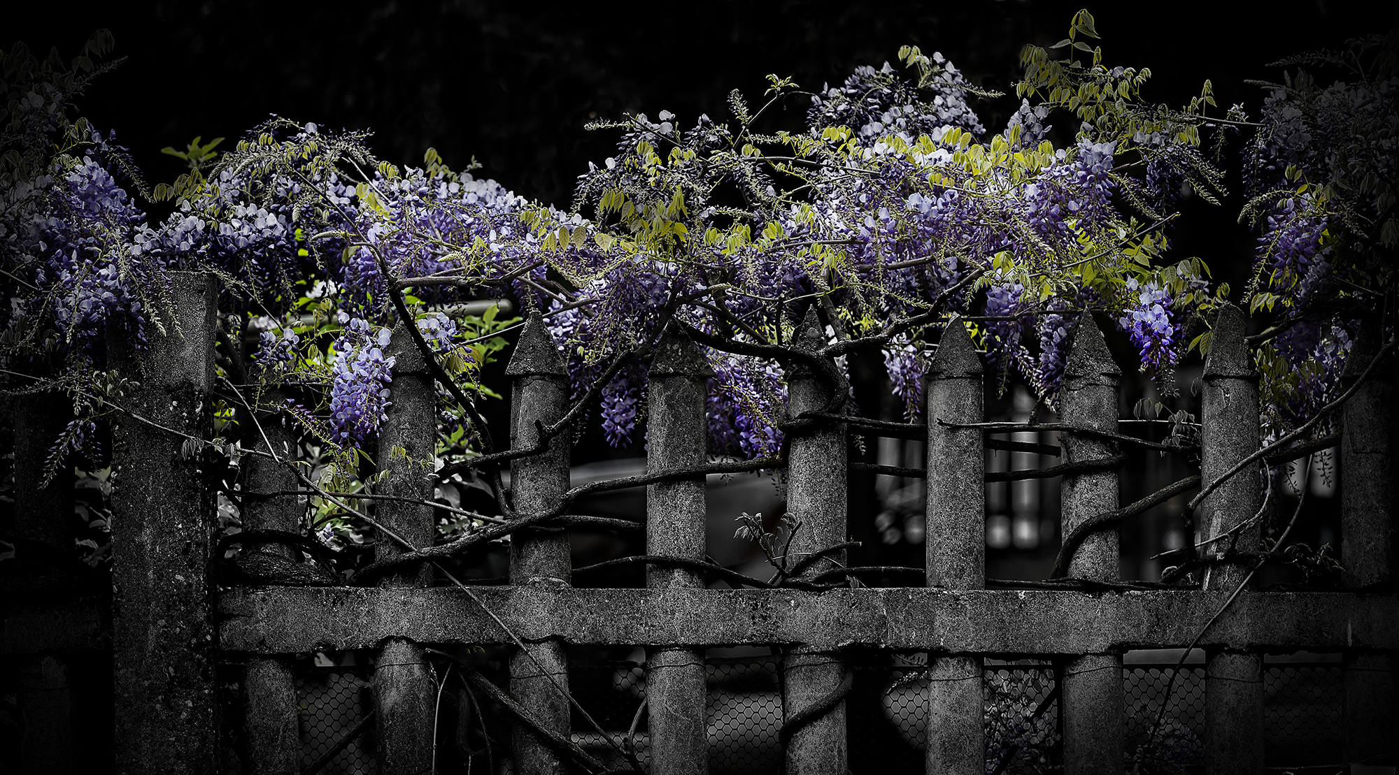 ..."intrichi"di Palazzo...