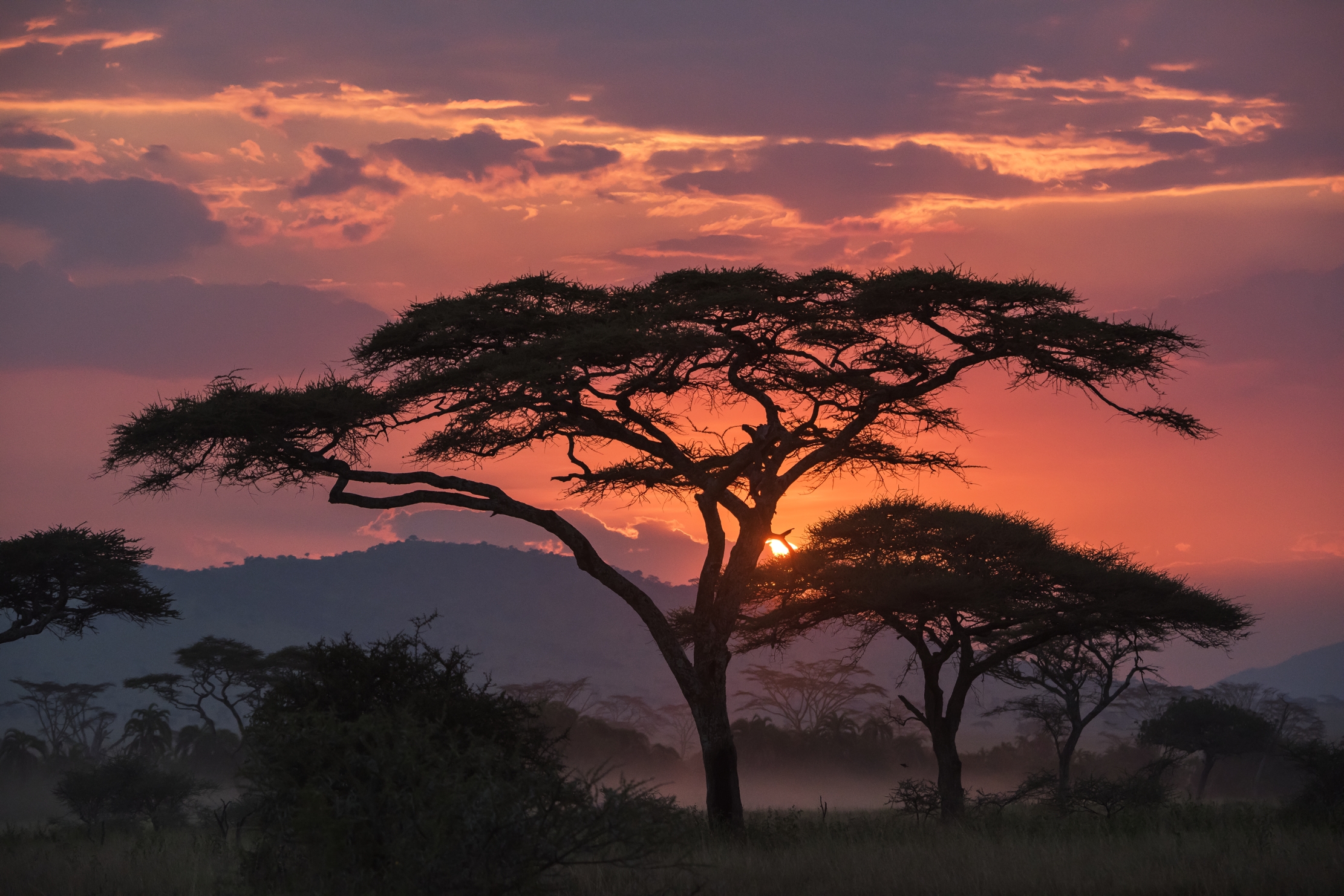 Tanzania 2016 - Tramonto sul Serengeti