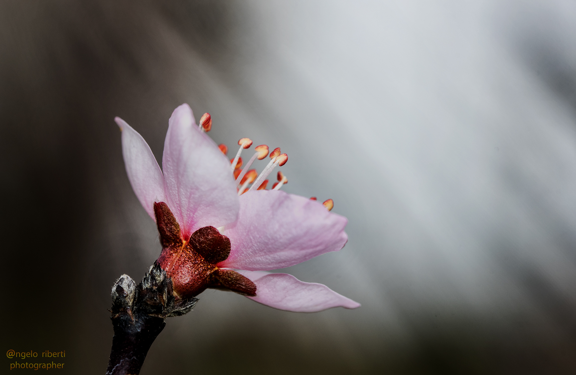 ... e luce ... sia !!!