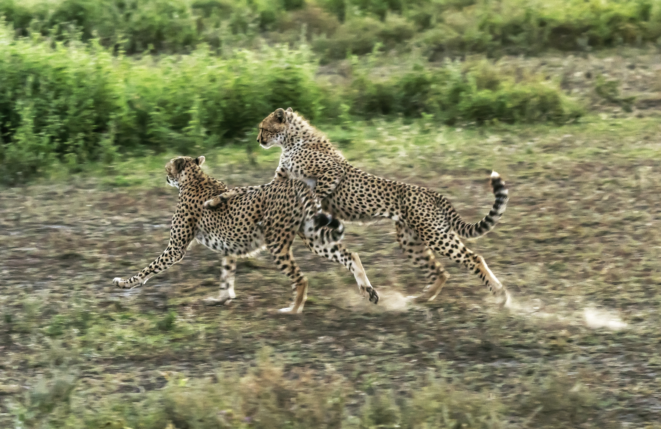 Tanzania 2016 - Giochi