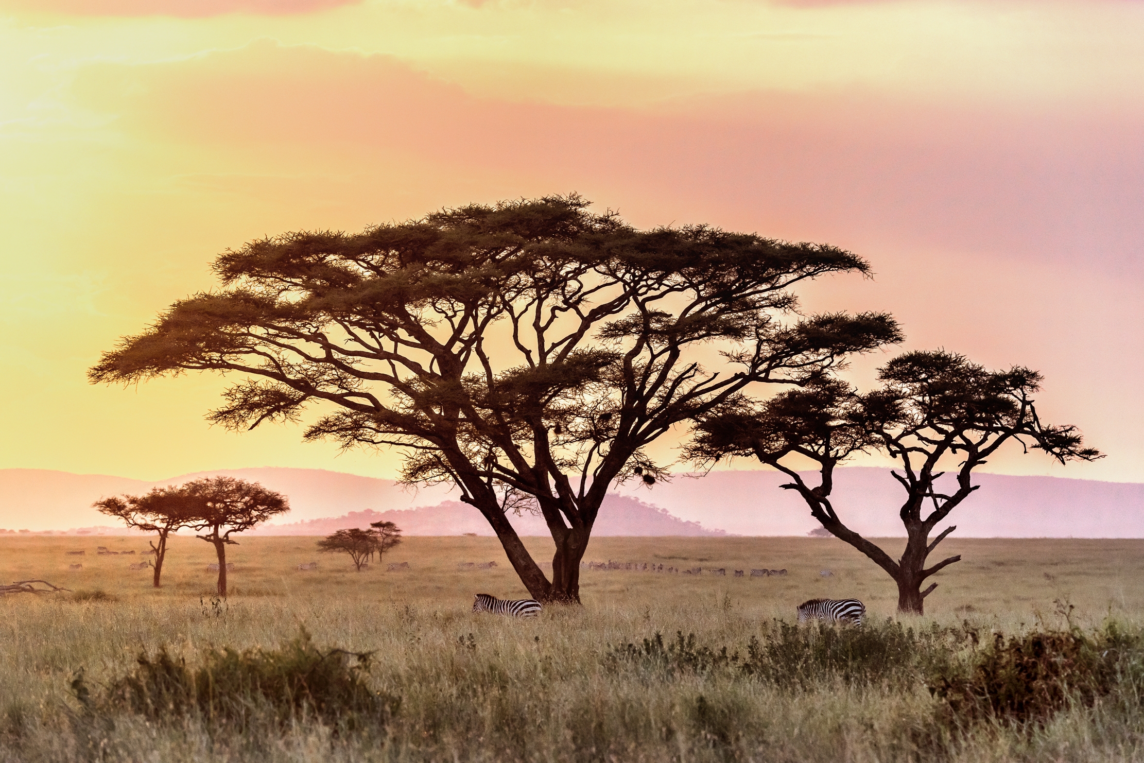 Tanzania 2016 - Tramonto sul Serengheti