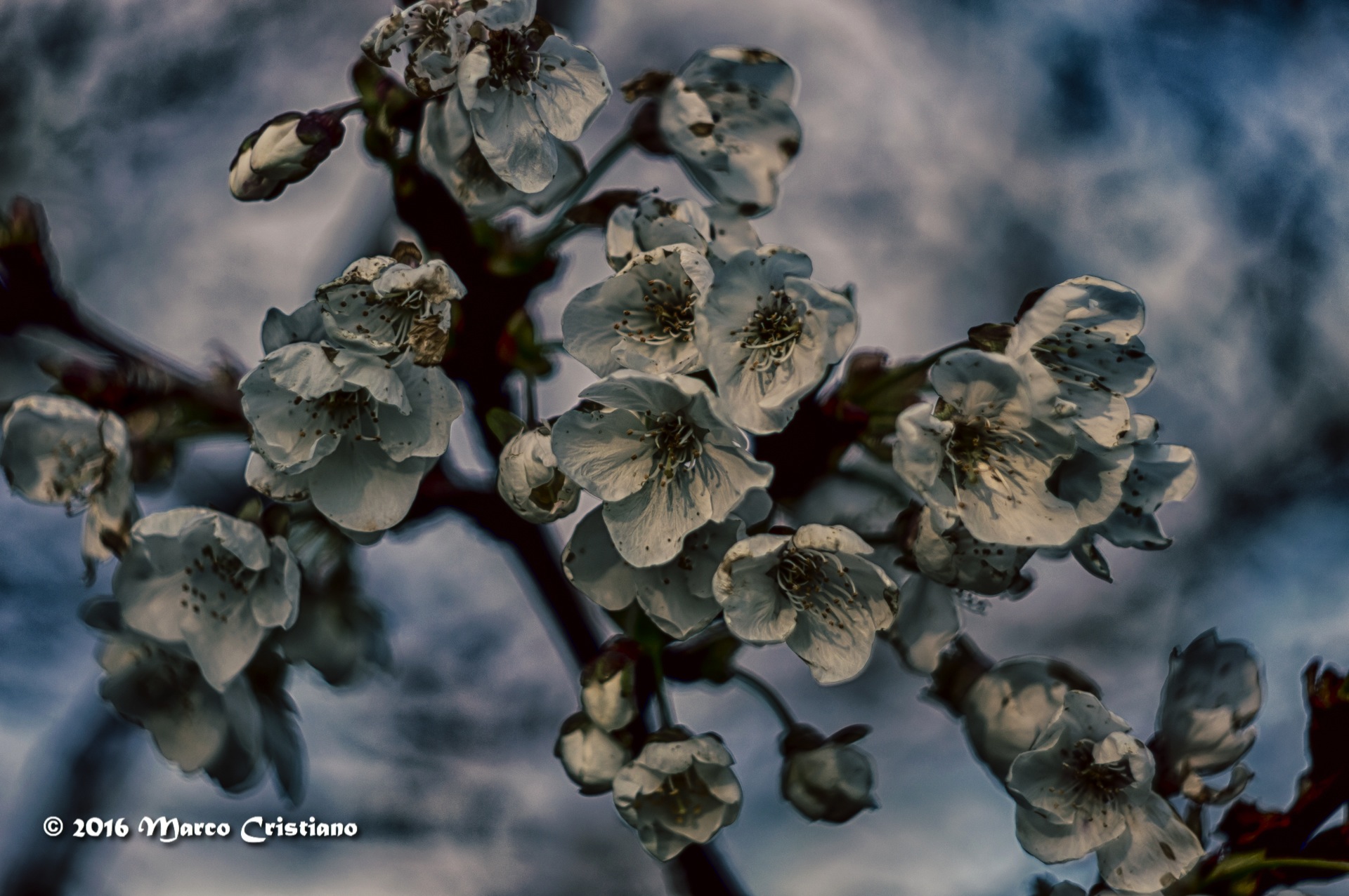 Spring in Helios ...