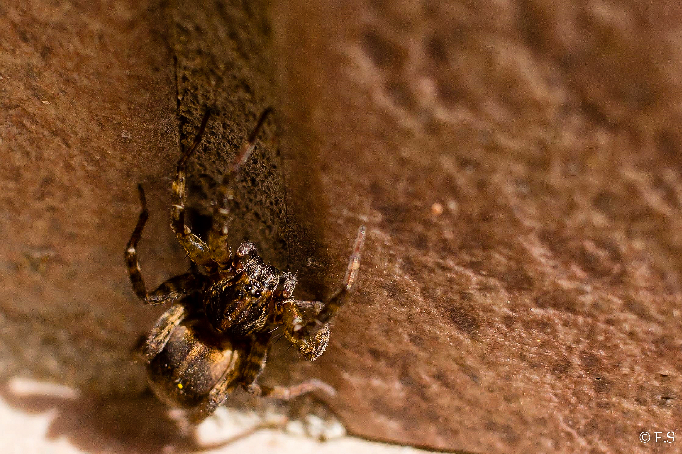 Incontri ravvicinati