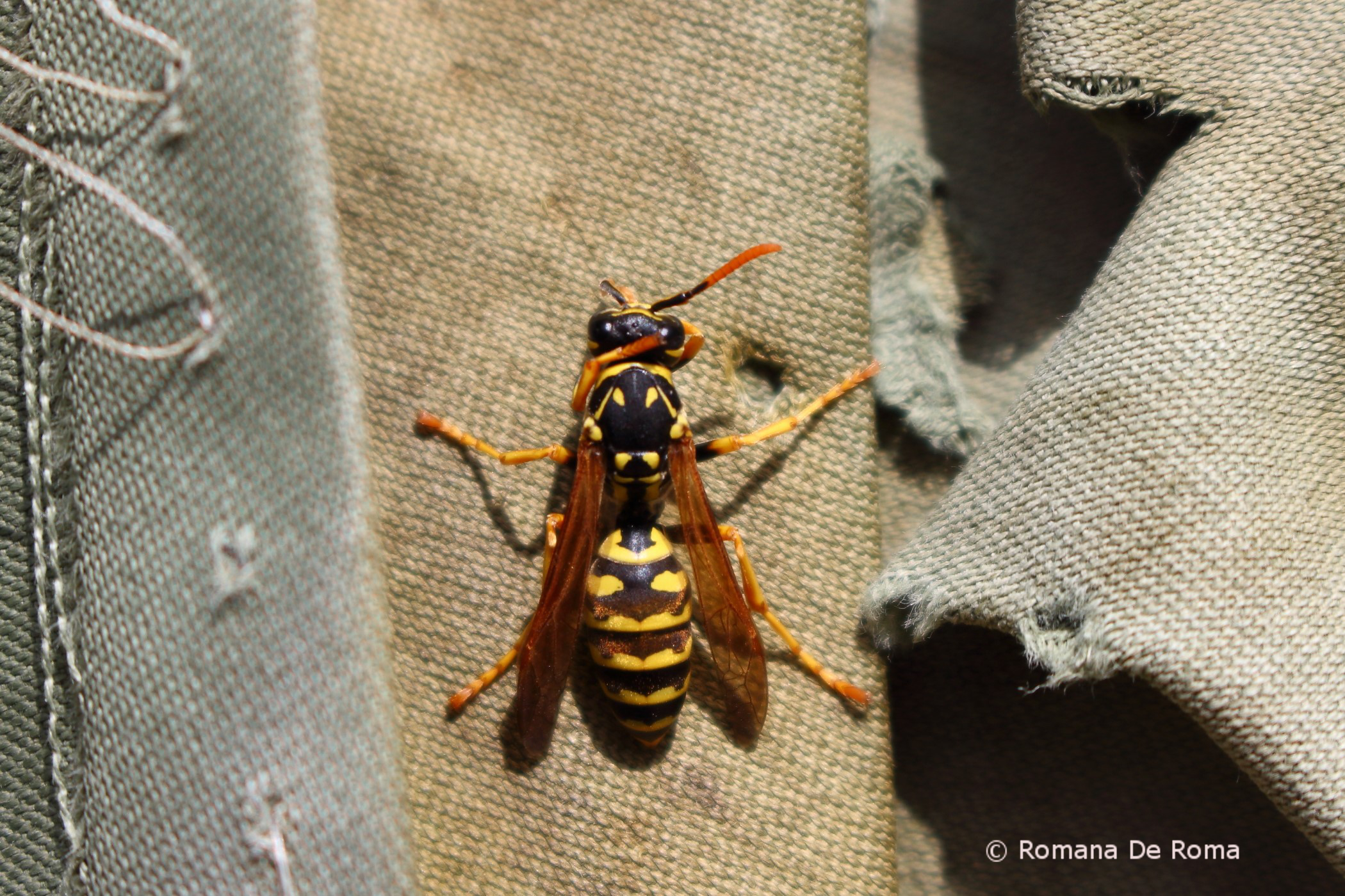 don't touch my jacket