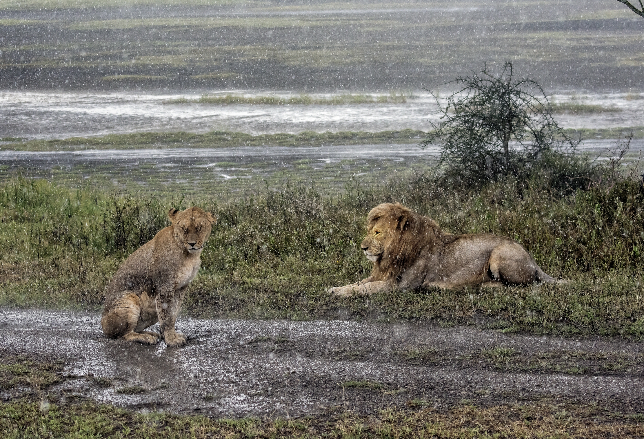 Tanzania 2016 - Sotto la pioggia