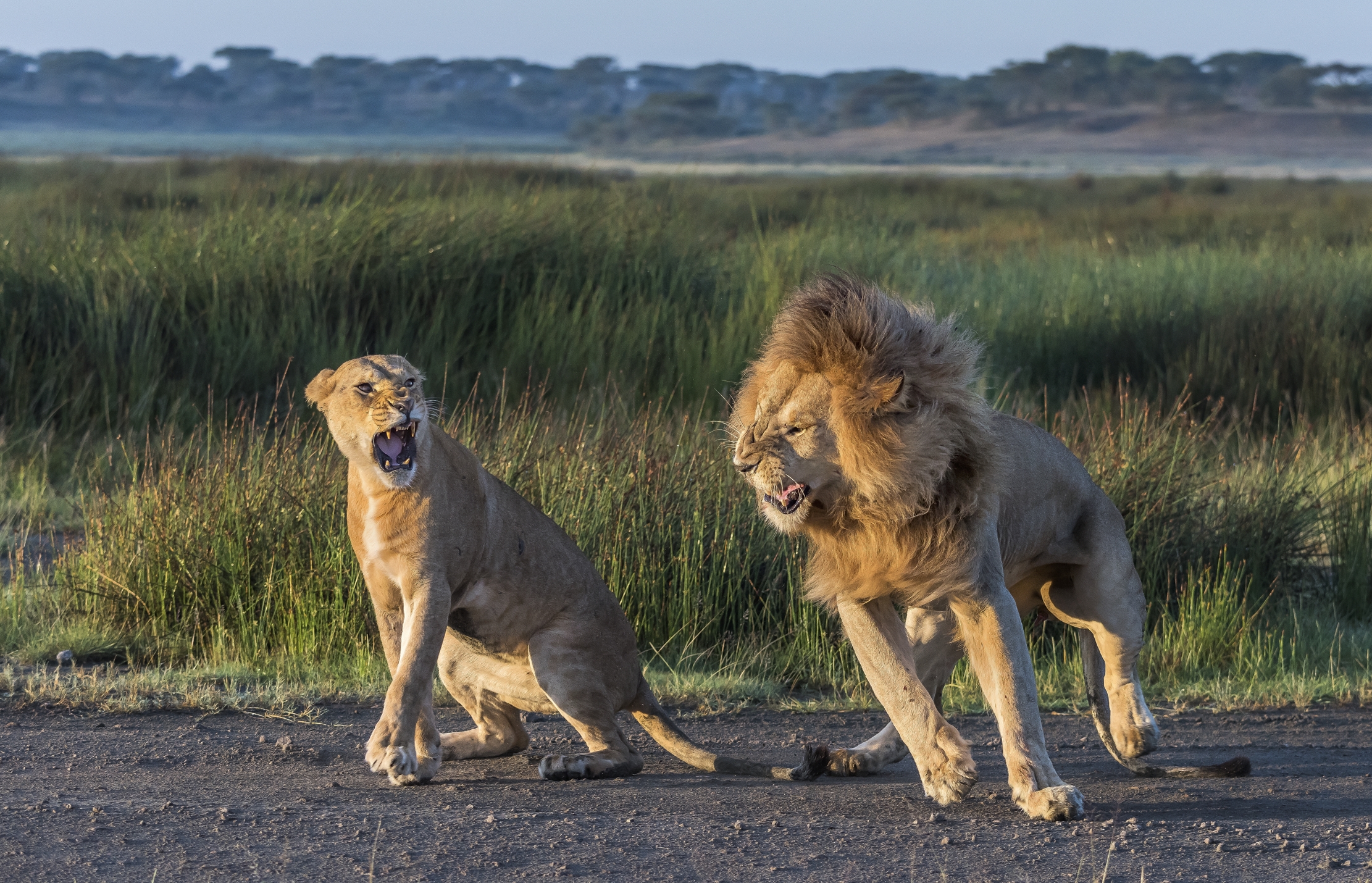 Tanzania 2016 - Litigi