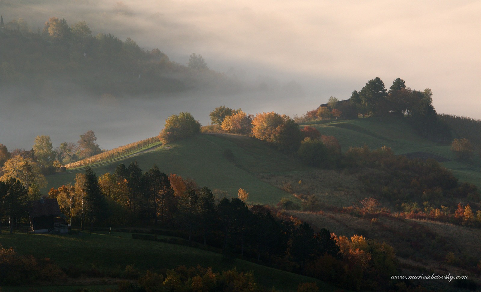 A Song About the Fall