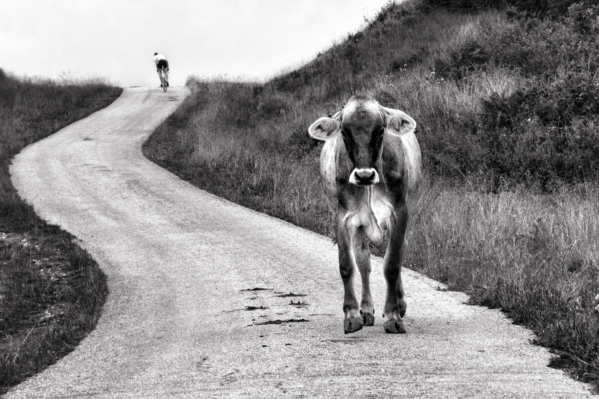 One man at the BN command