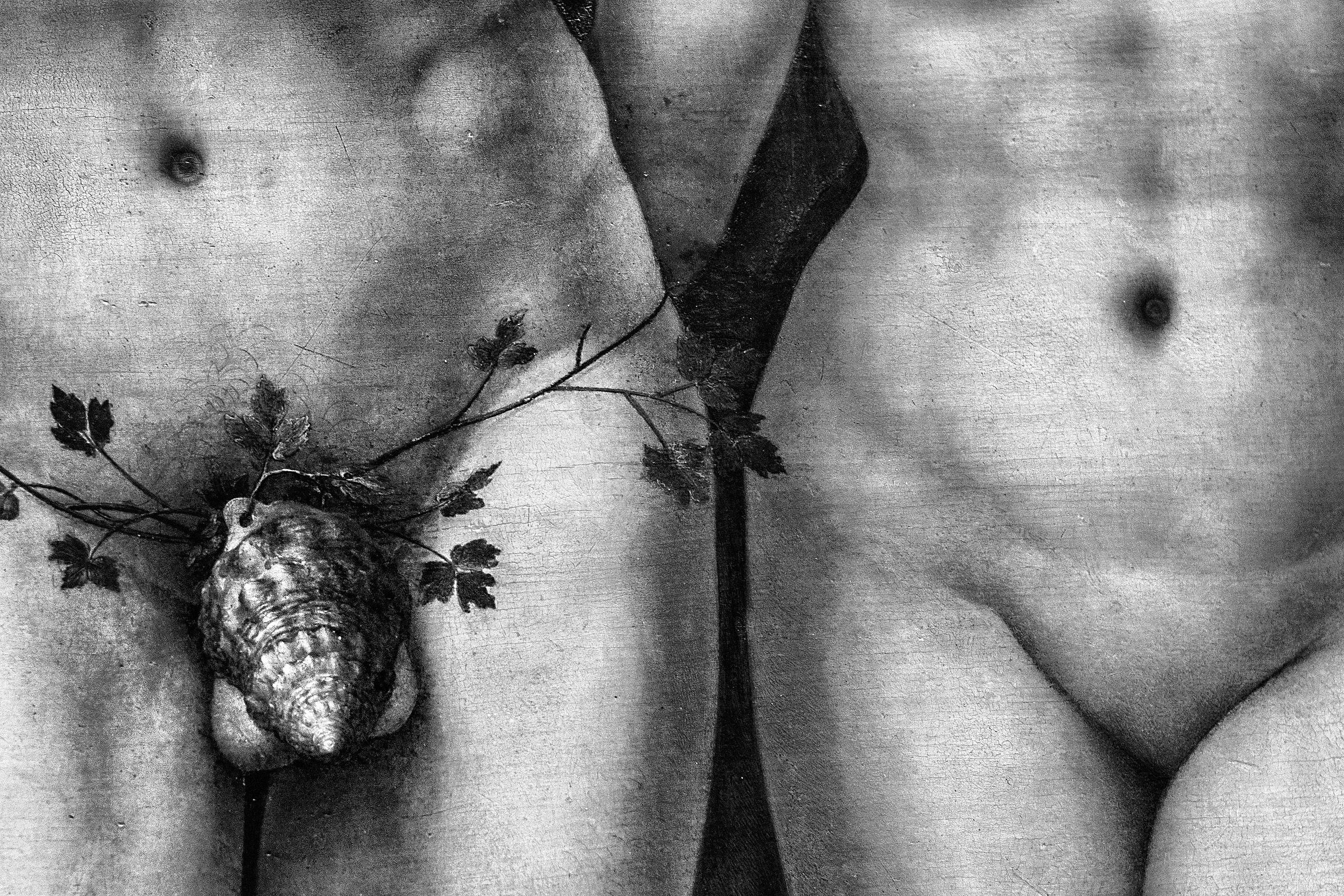 Gender gap and braghettoni