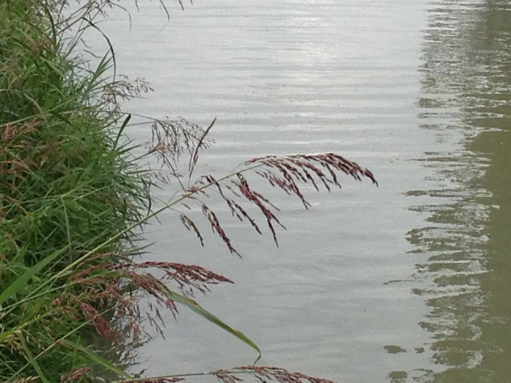the label water rippling canal
